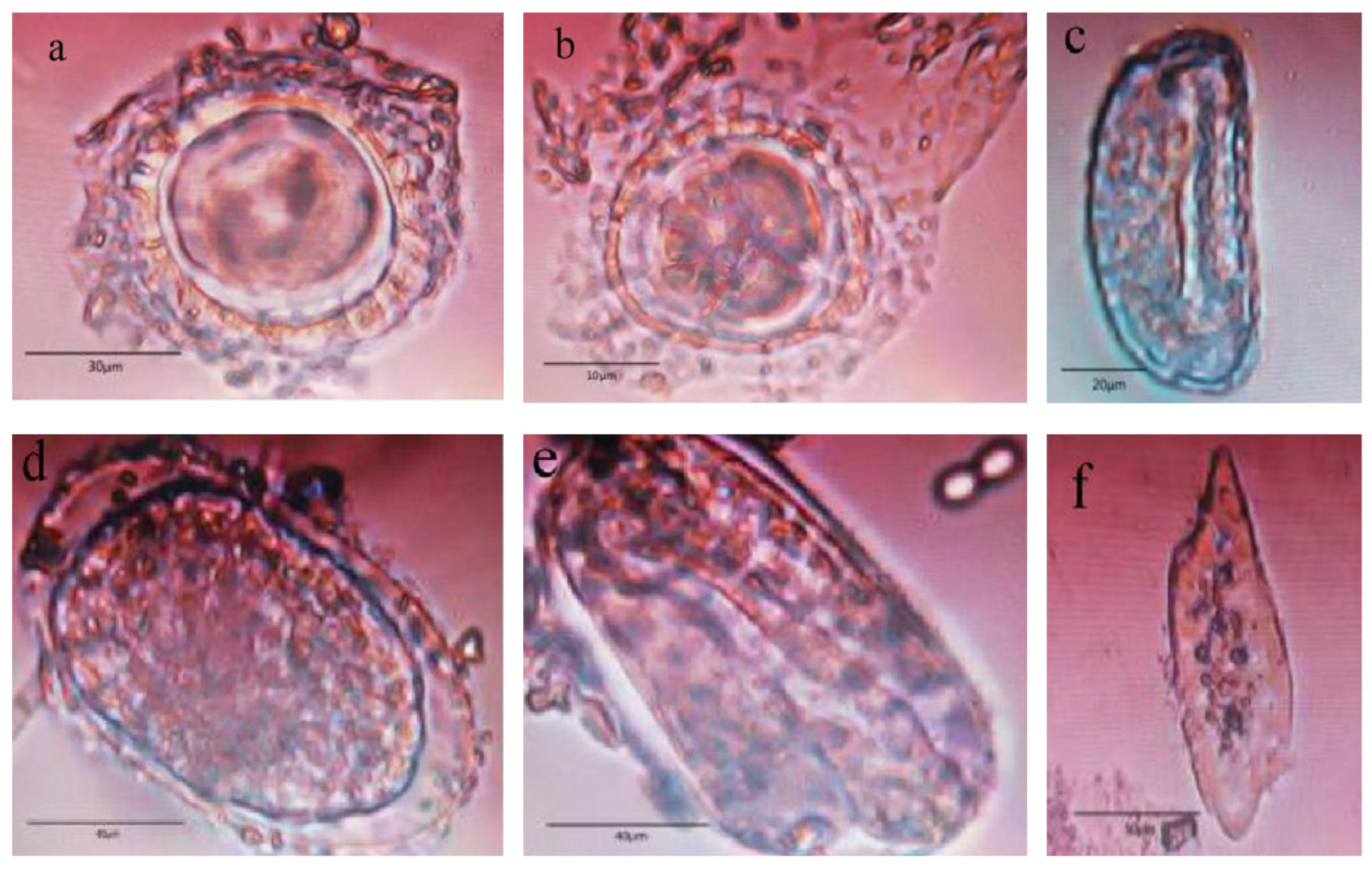 Animals 12 01816 g002