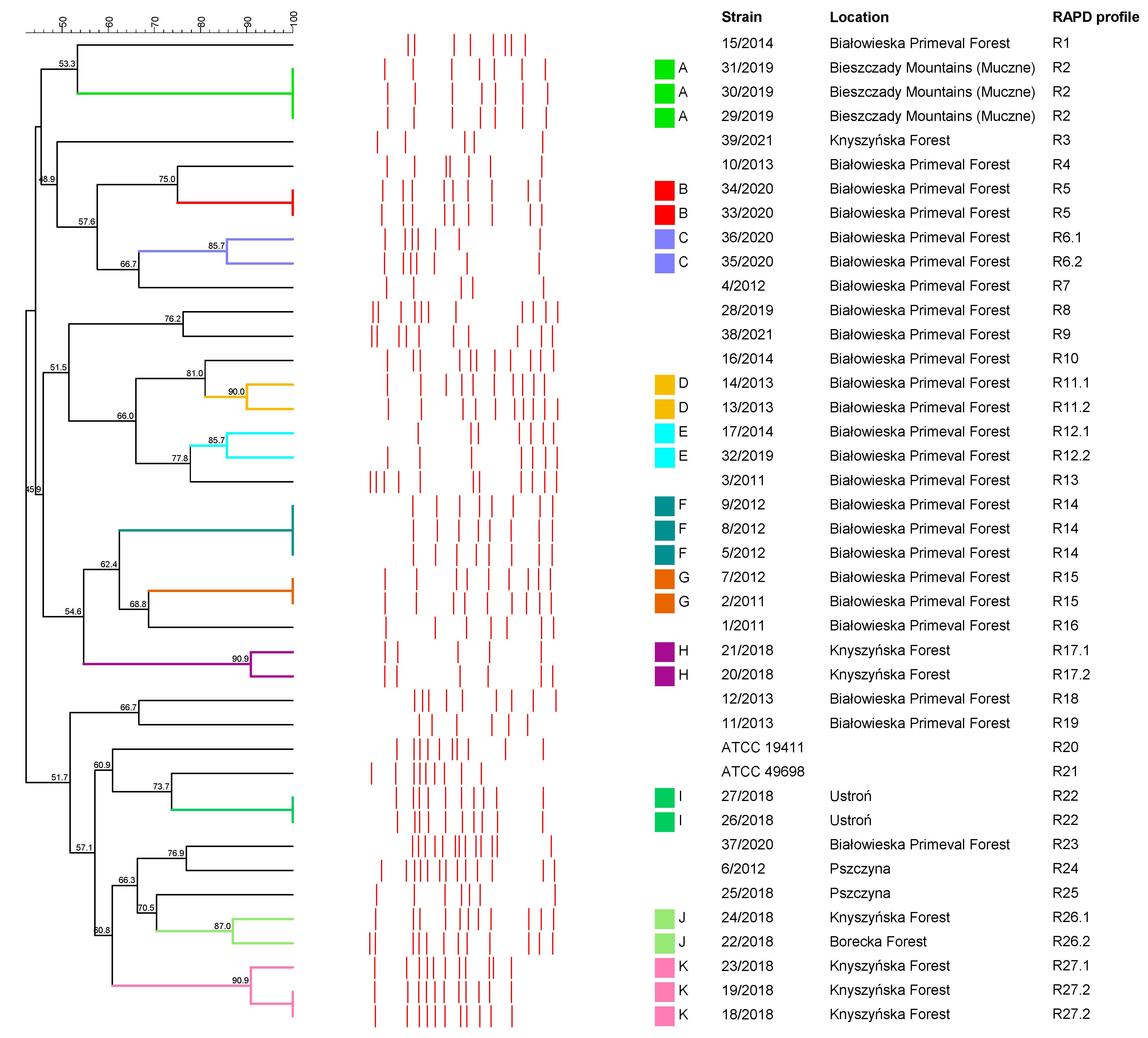Animals 12 01825 g003