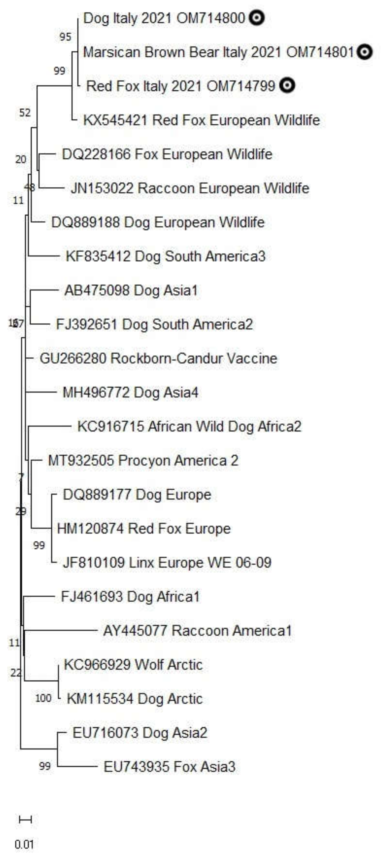 Animals 12 01826 g002 Animals 12 01826 g002