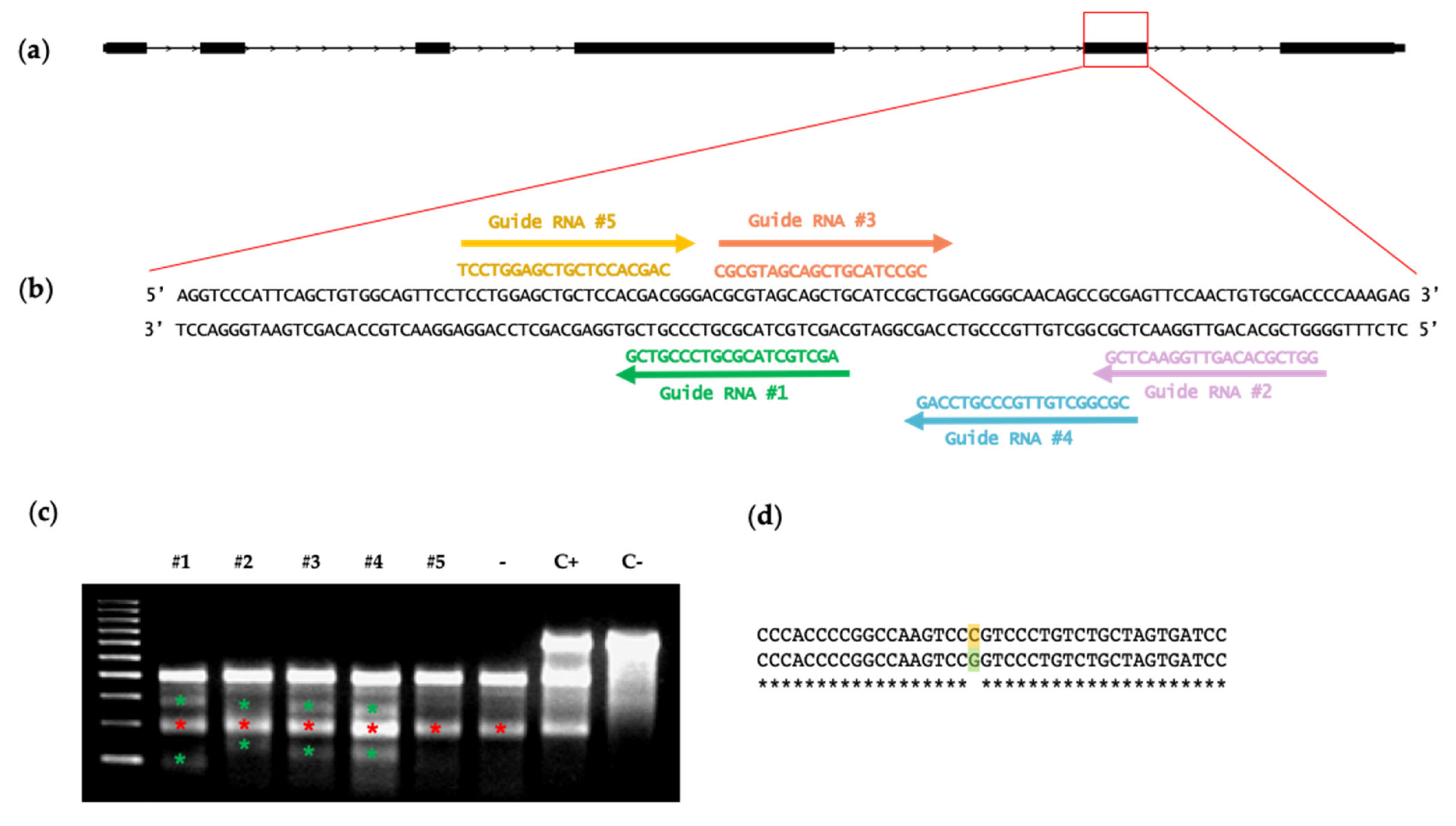 Animals 12 01829 g001