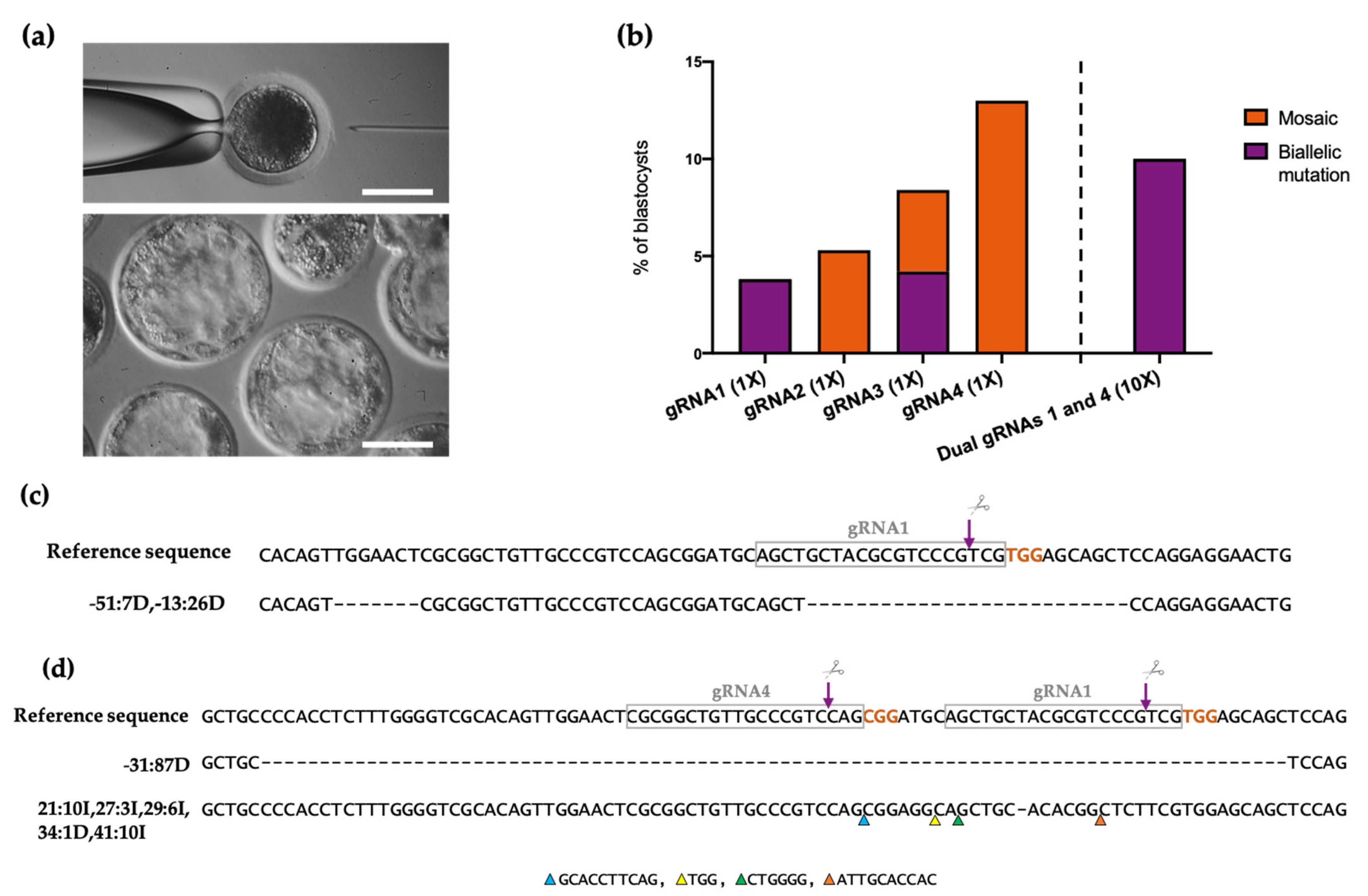 Animals 12 01829 g002