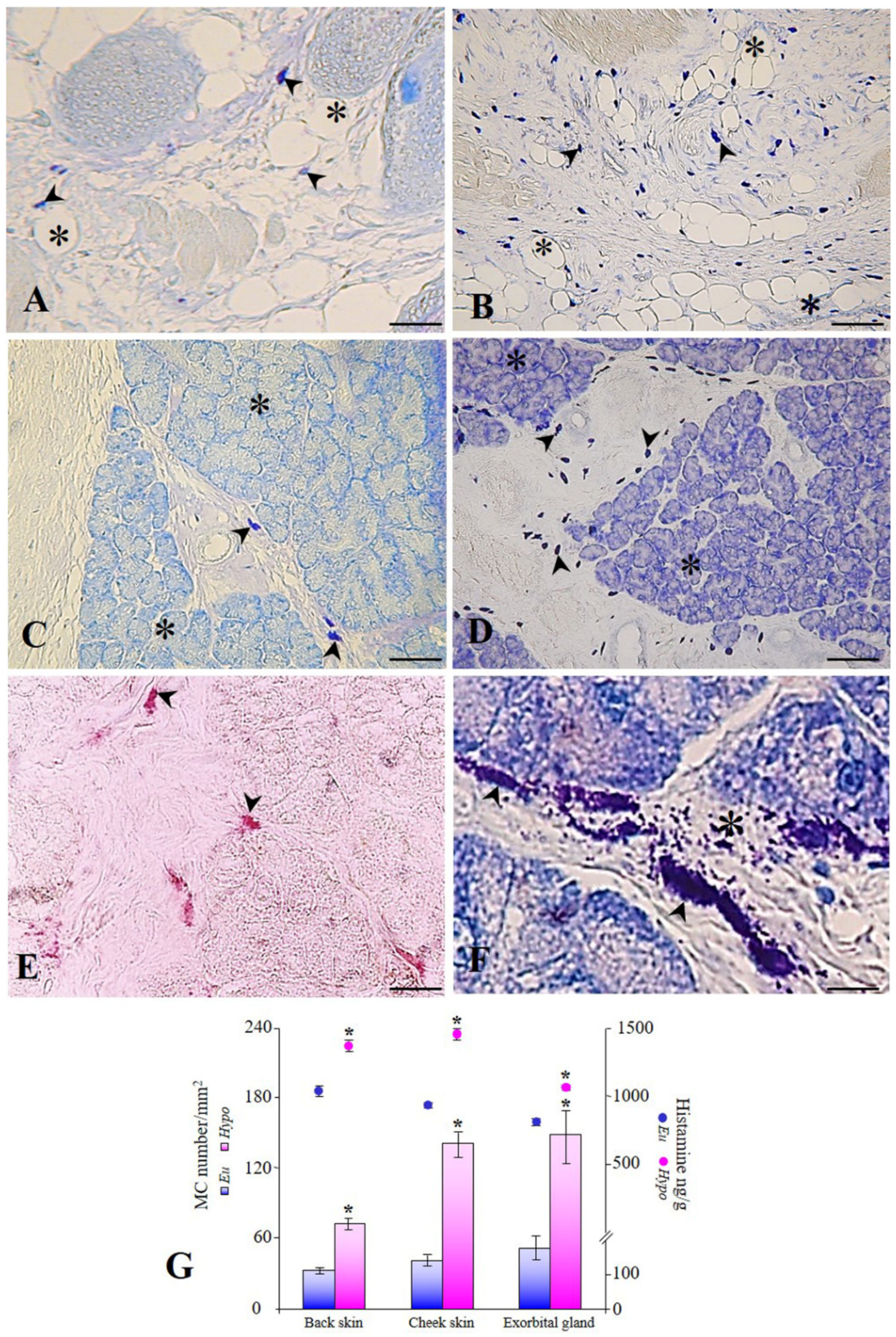 Animals 12 01840 g001