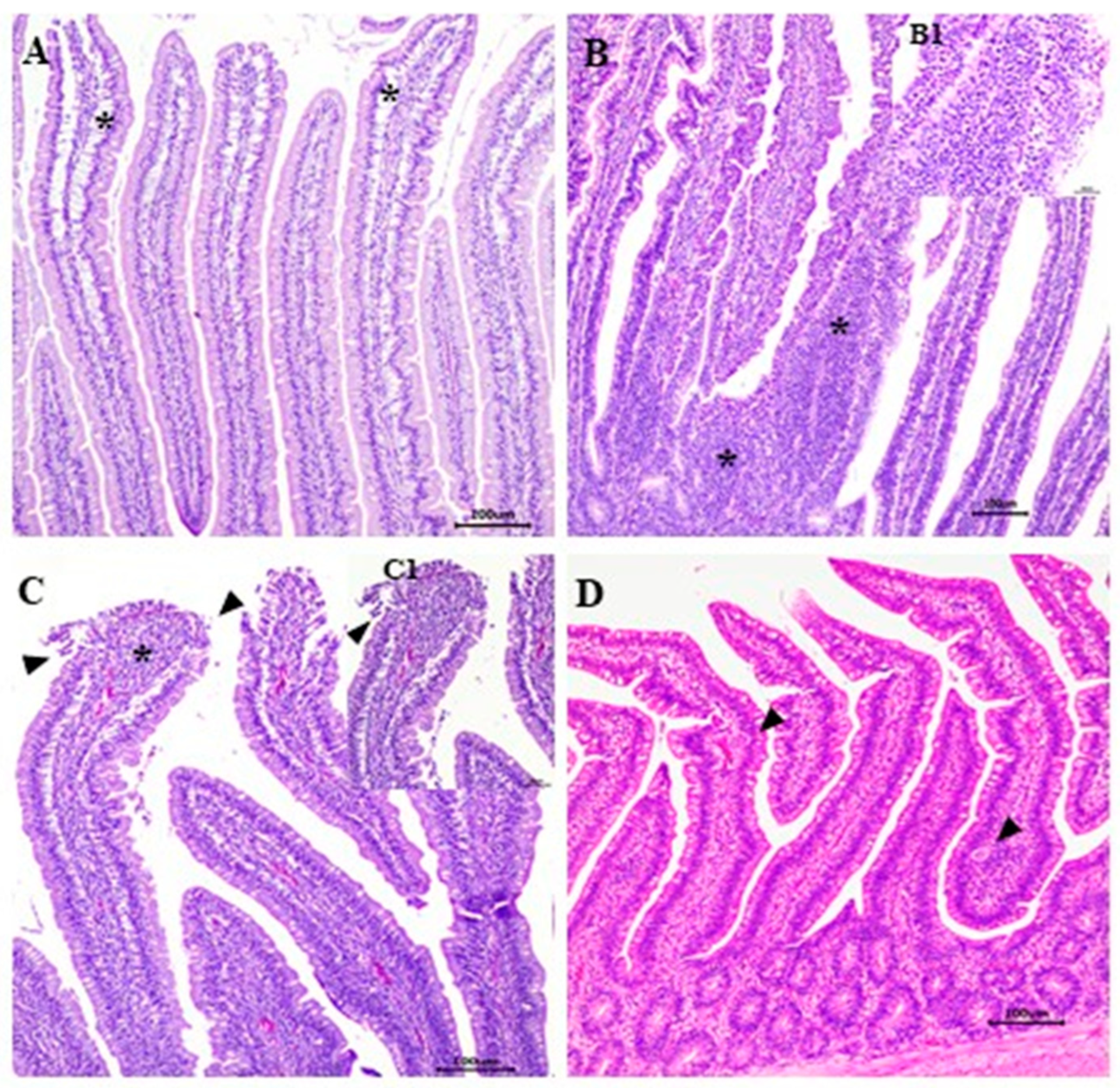 Animals 12 01880 g003