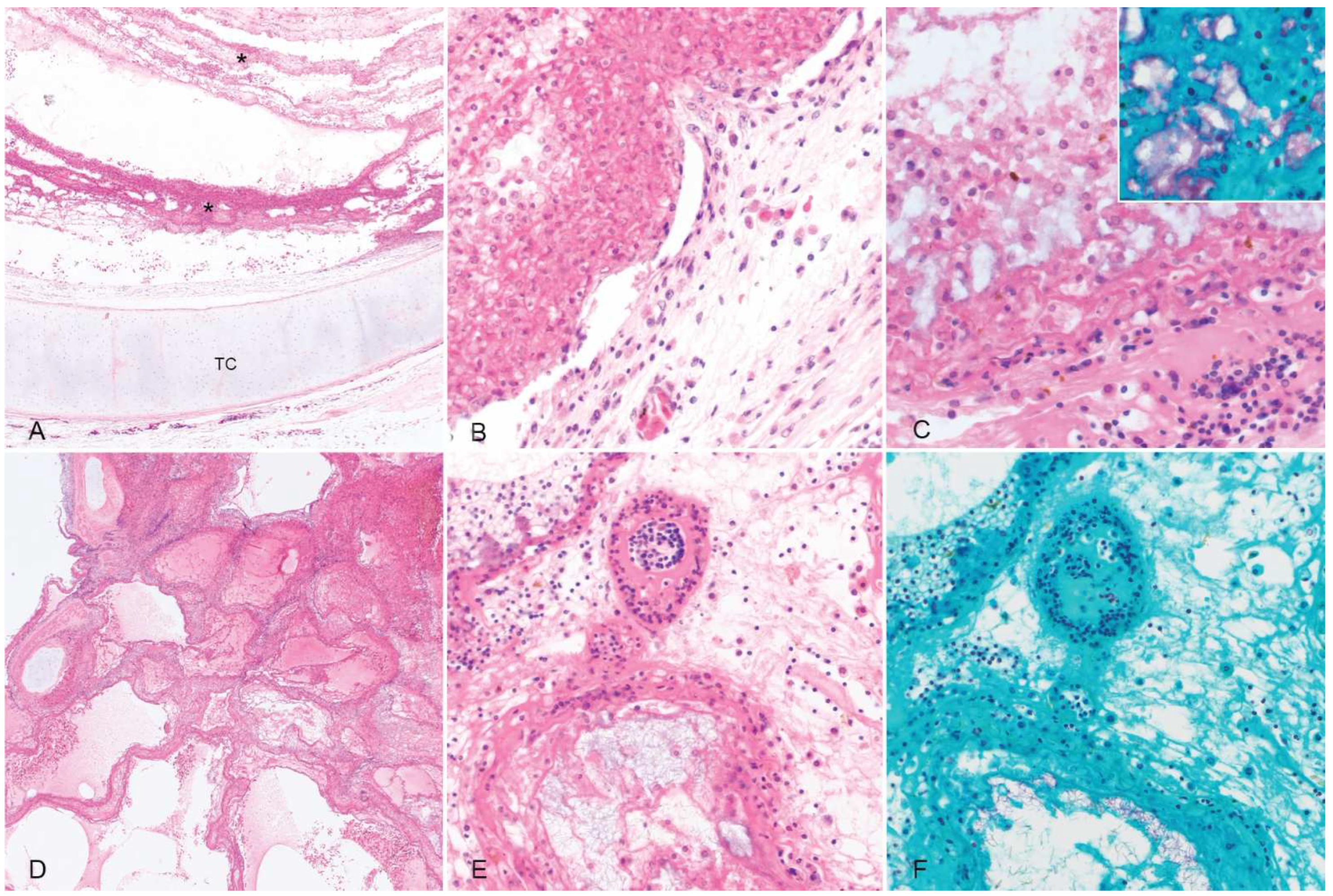 Animals 12 01891 g002 550