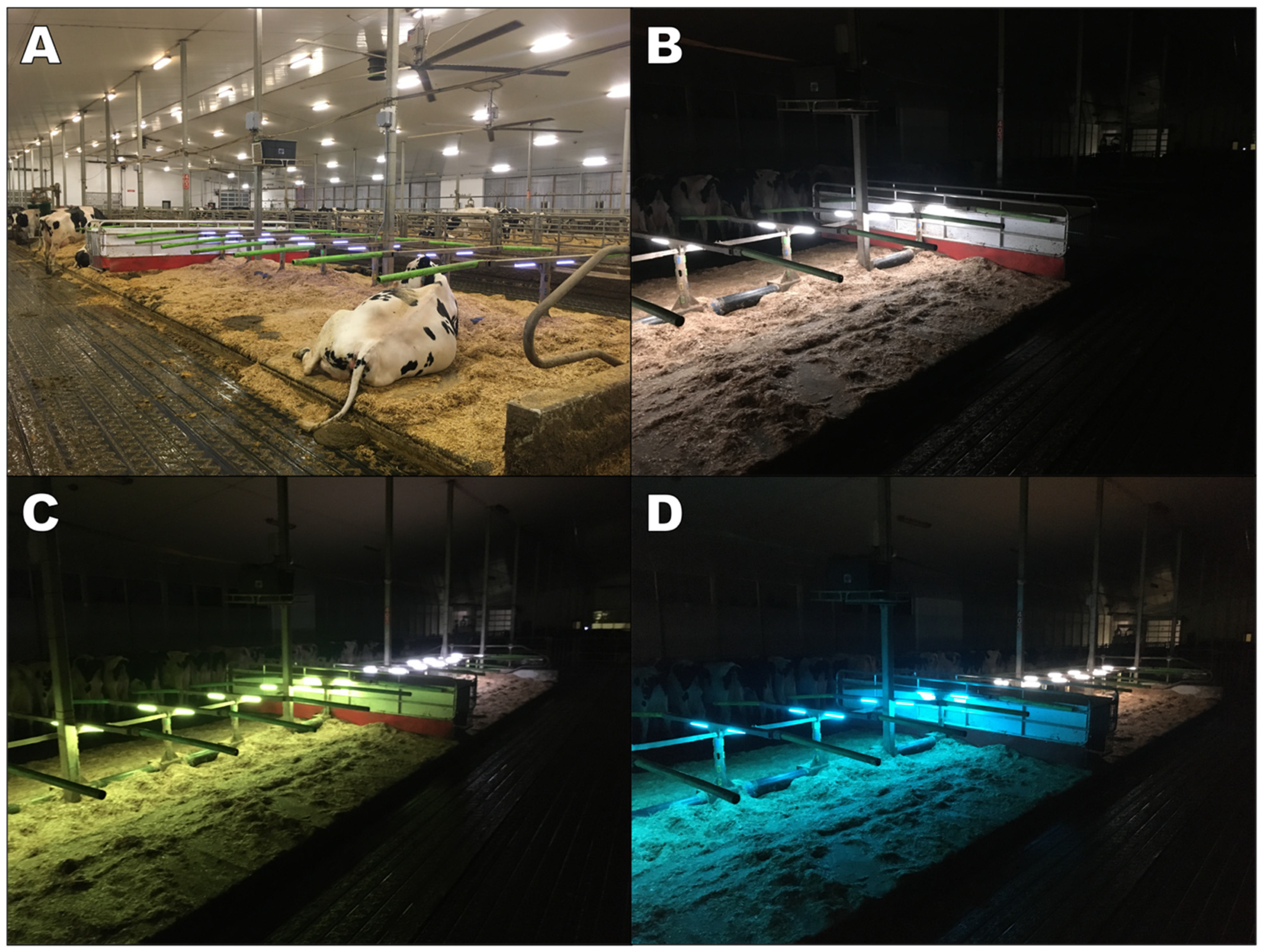 Animals 12 01894 g0a1