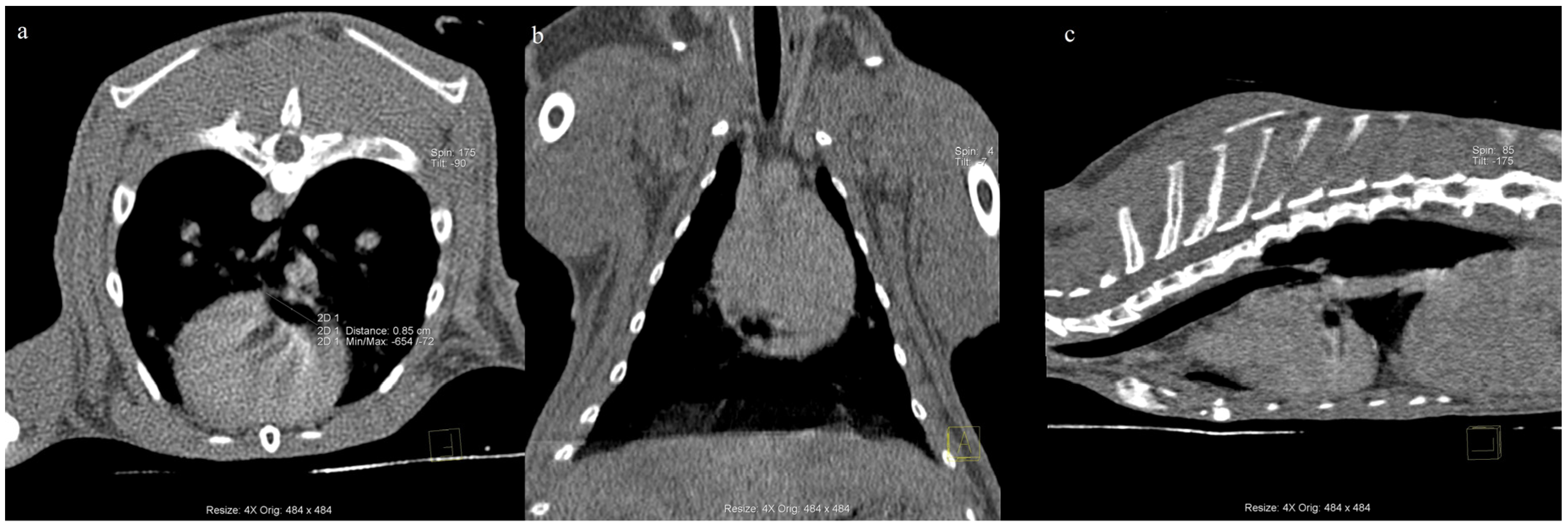 Animals 12 01907 g001 Animals 12 01907 g001