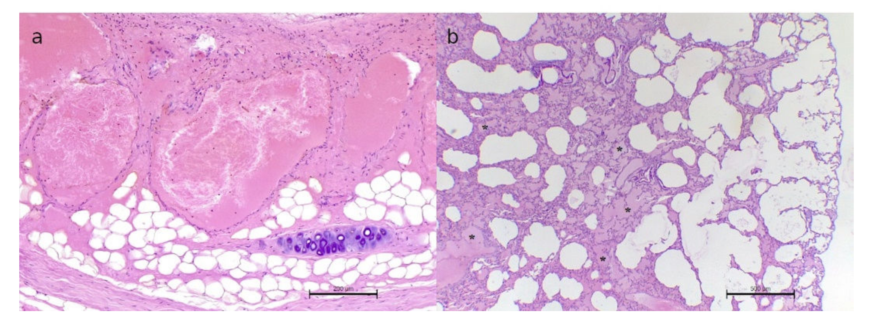 Animals 12 01907 g002 Animals 12 01907 g002