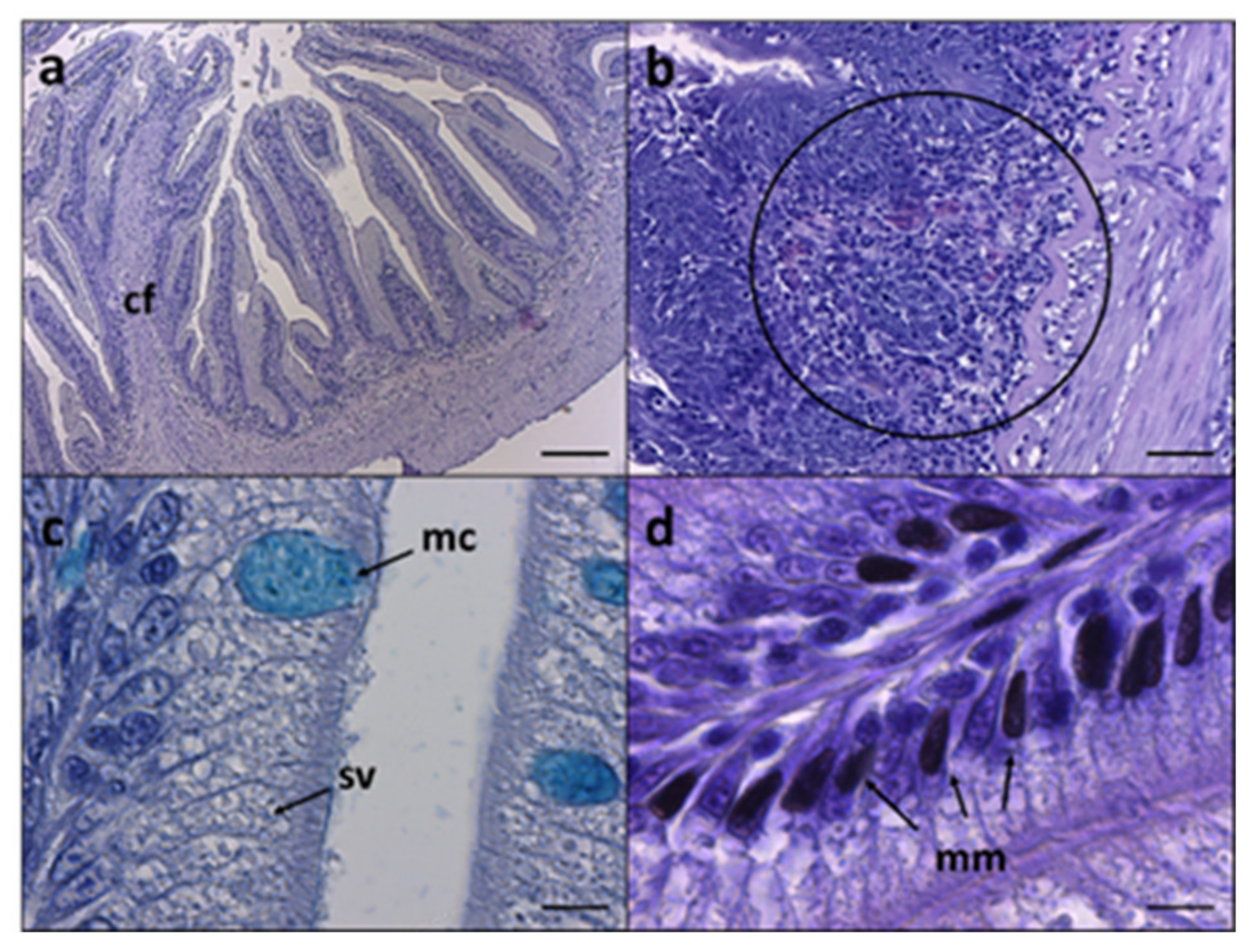 Animals 12 01918 g001 550