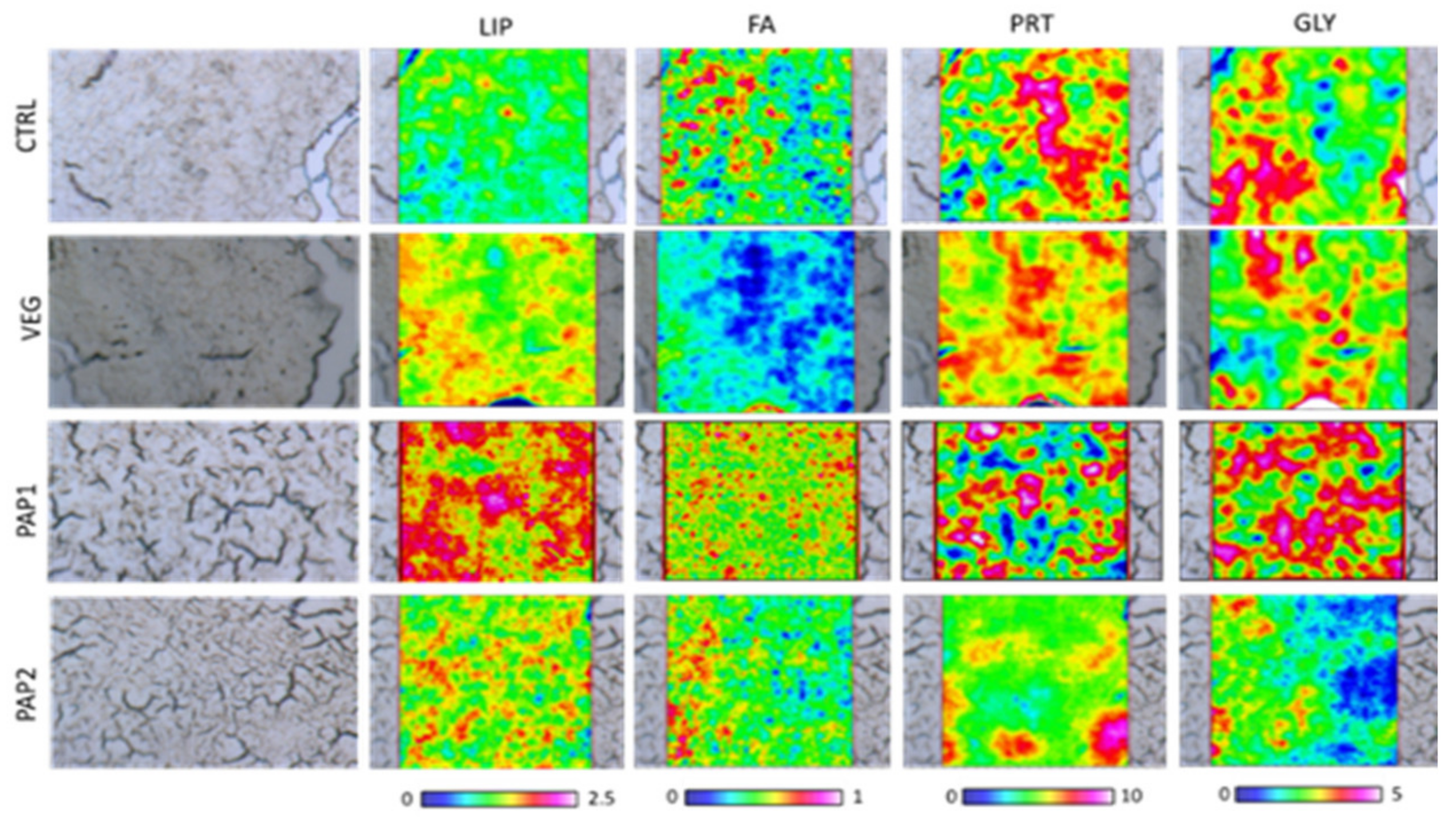 Animals 12 01918 g004 550