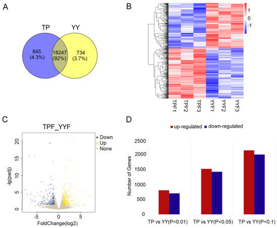 Plateau Adaptation Gene Analyses Reveal Transcriptomic, Proteomic