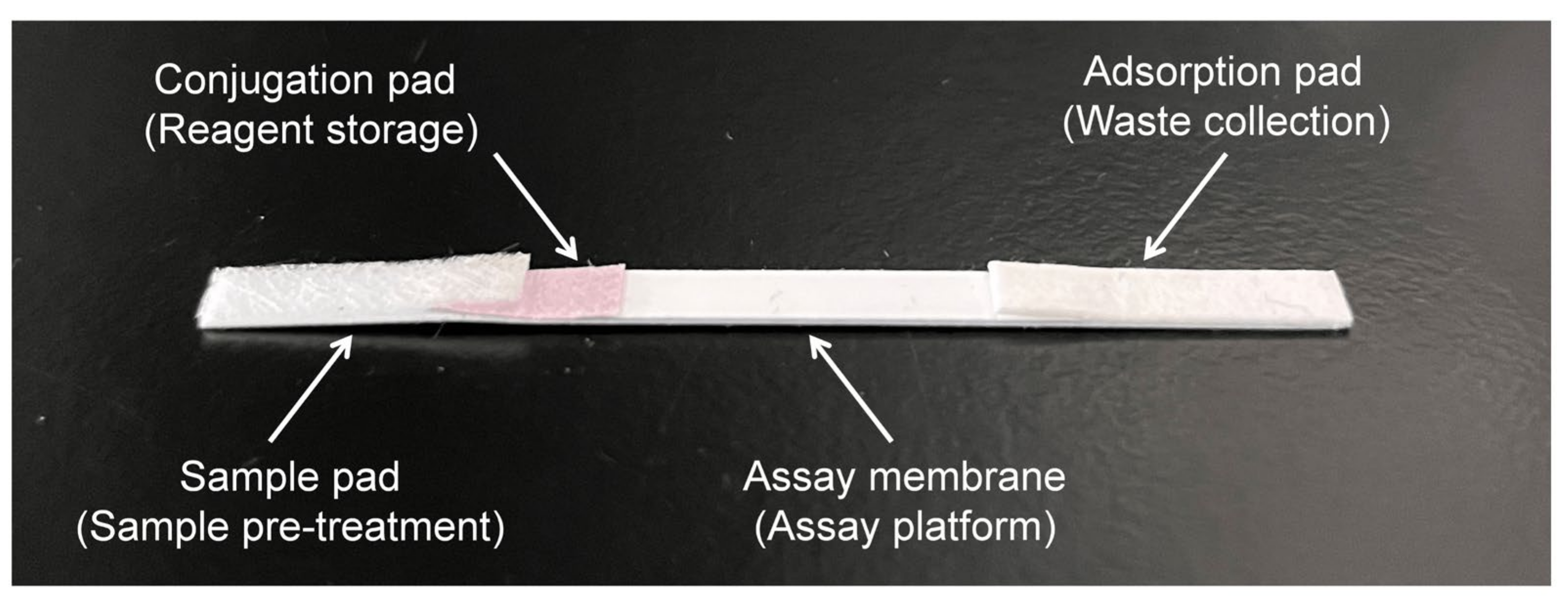 Animals 12 01929 g001 Animals 12 01929 g001