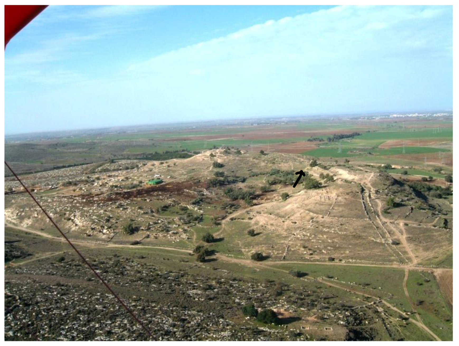 Animals 12 01931 g002 550