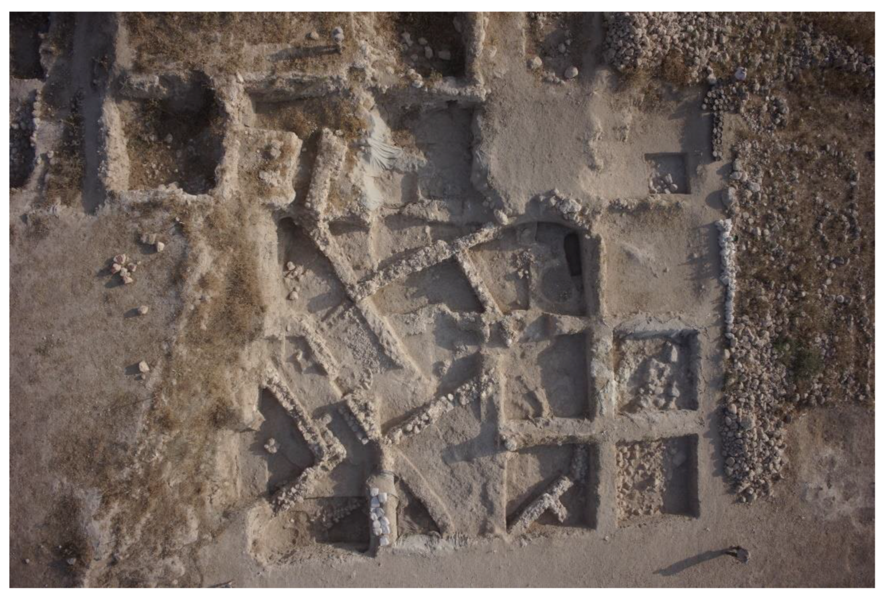 Animals 12 01931 g004 550