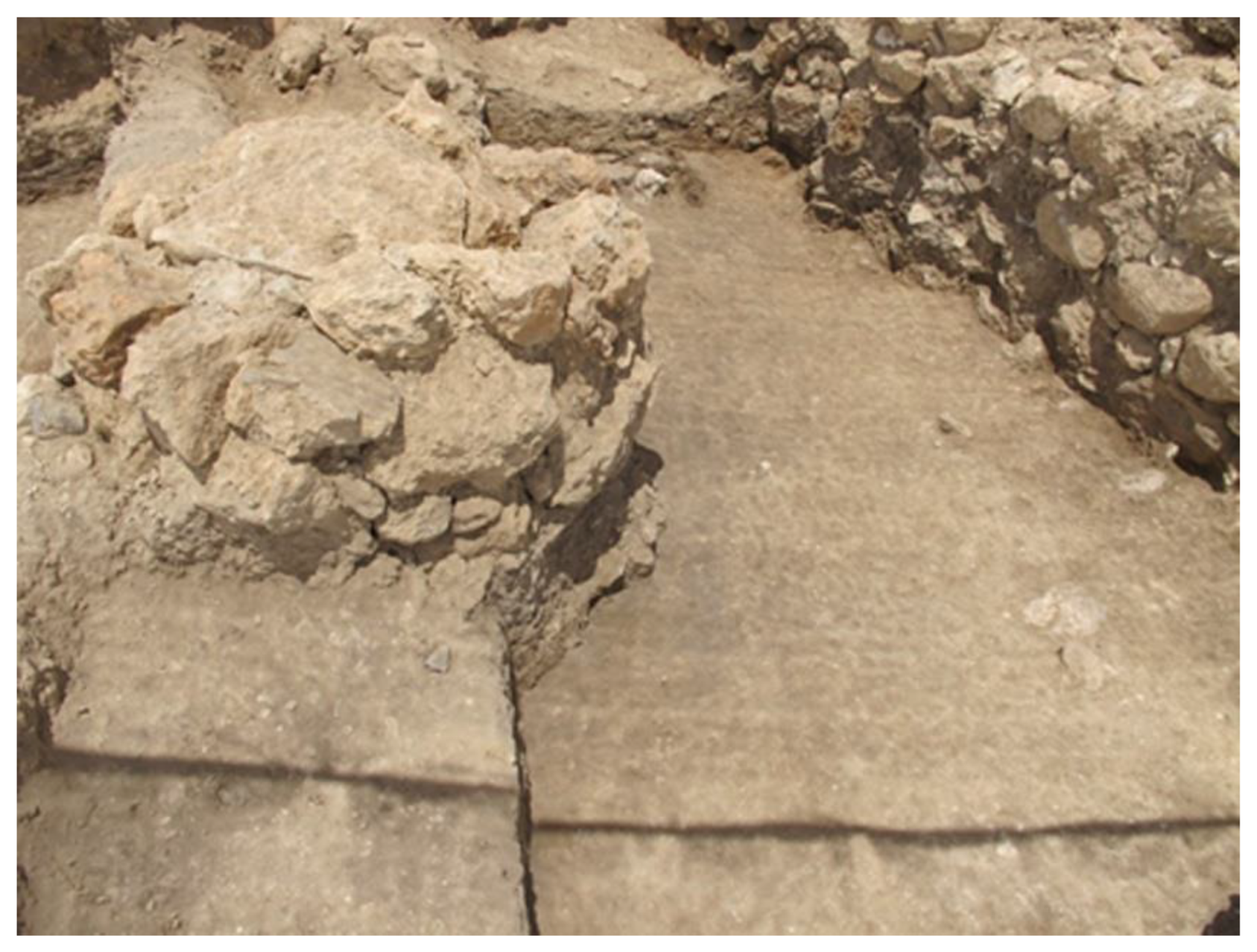 Animals 12 01931 g012 550