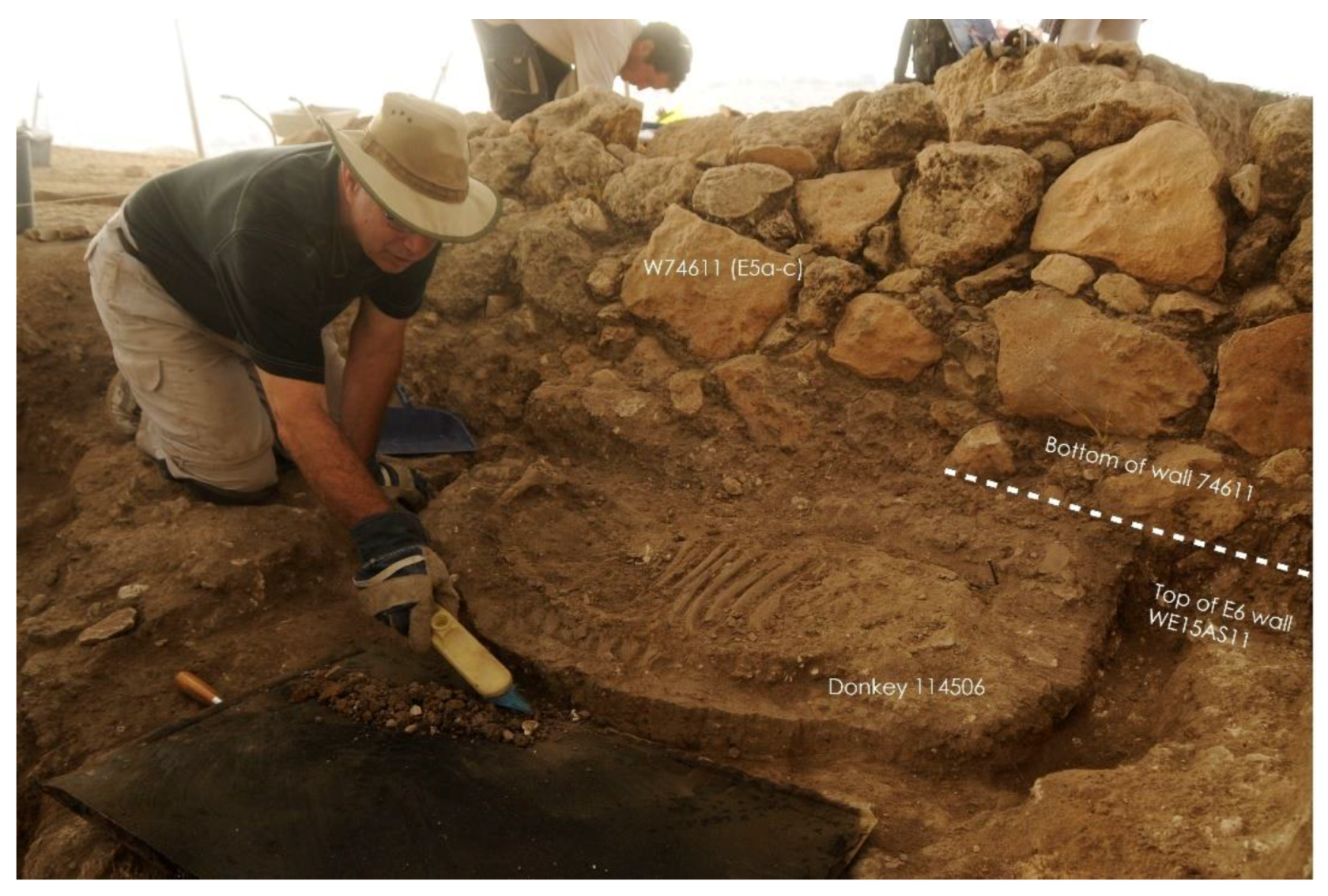 Animals 12 01931 g018 550