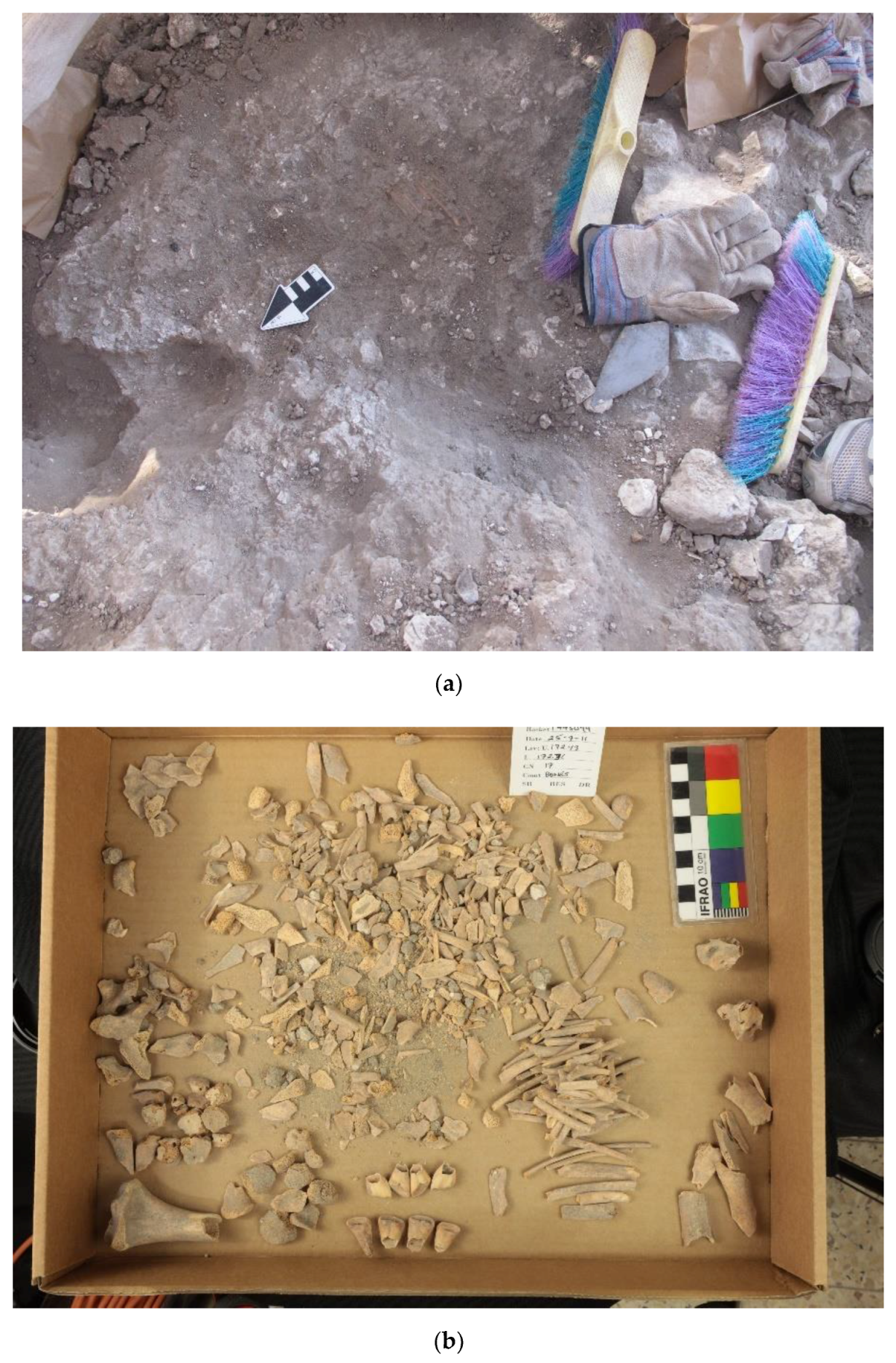 Animals 12 01931 g021a 550