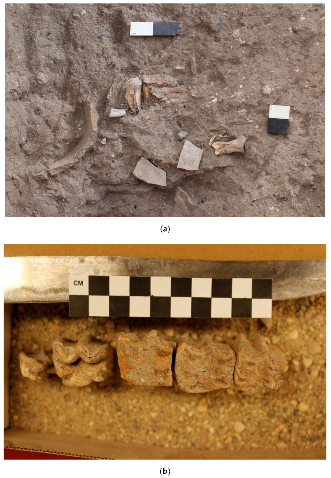 Animals 12 01931 g022 550