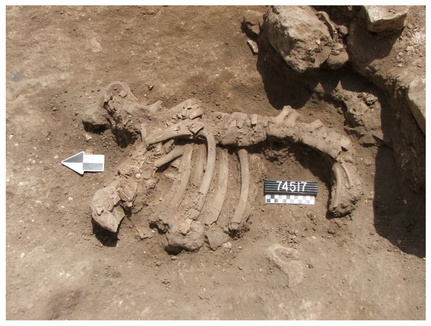 Animals 12 01931 g023 550