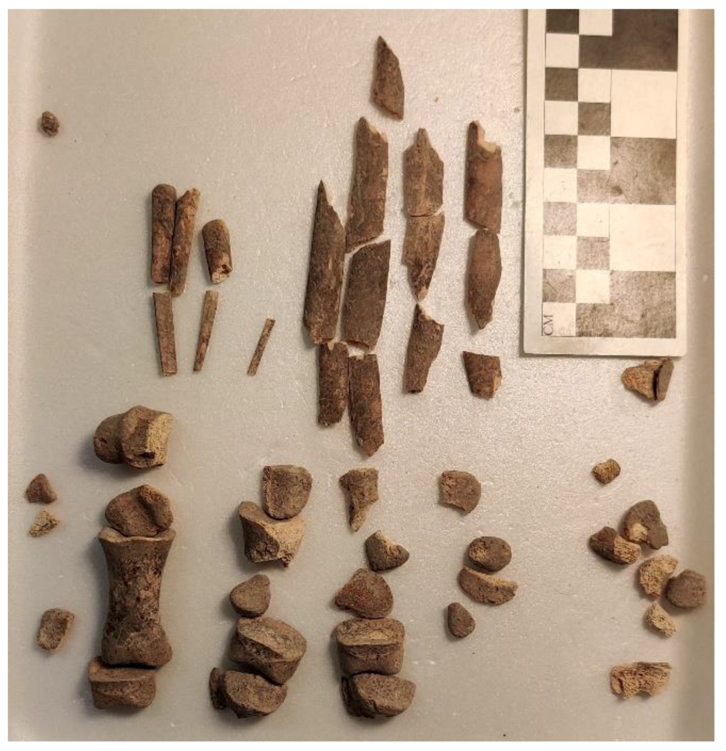 Animals 12 01931 g024 550