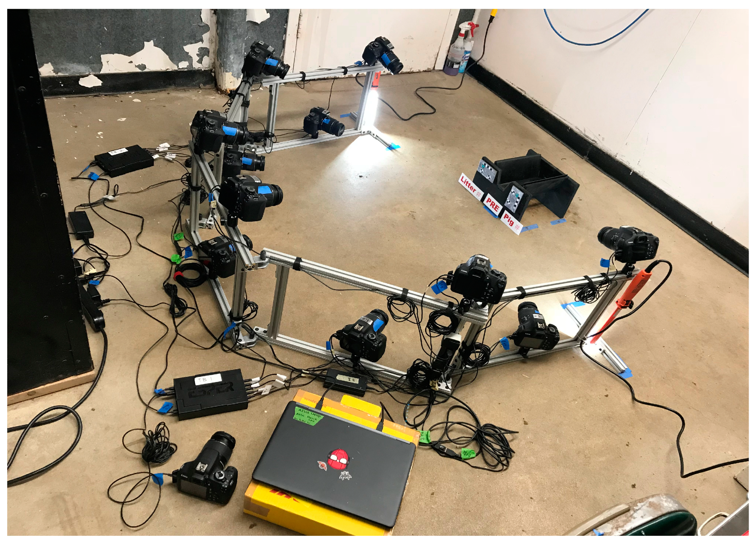 Animals 12 01944 g001