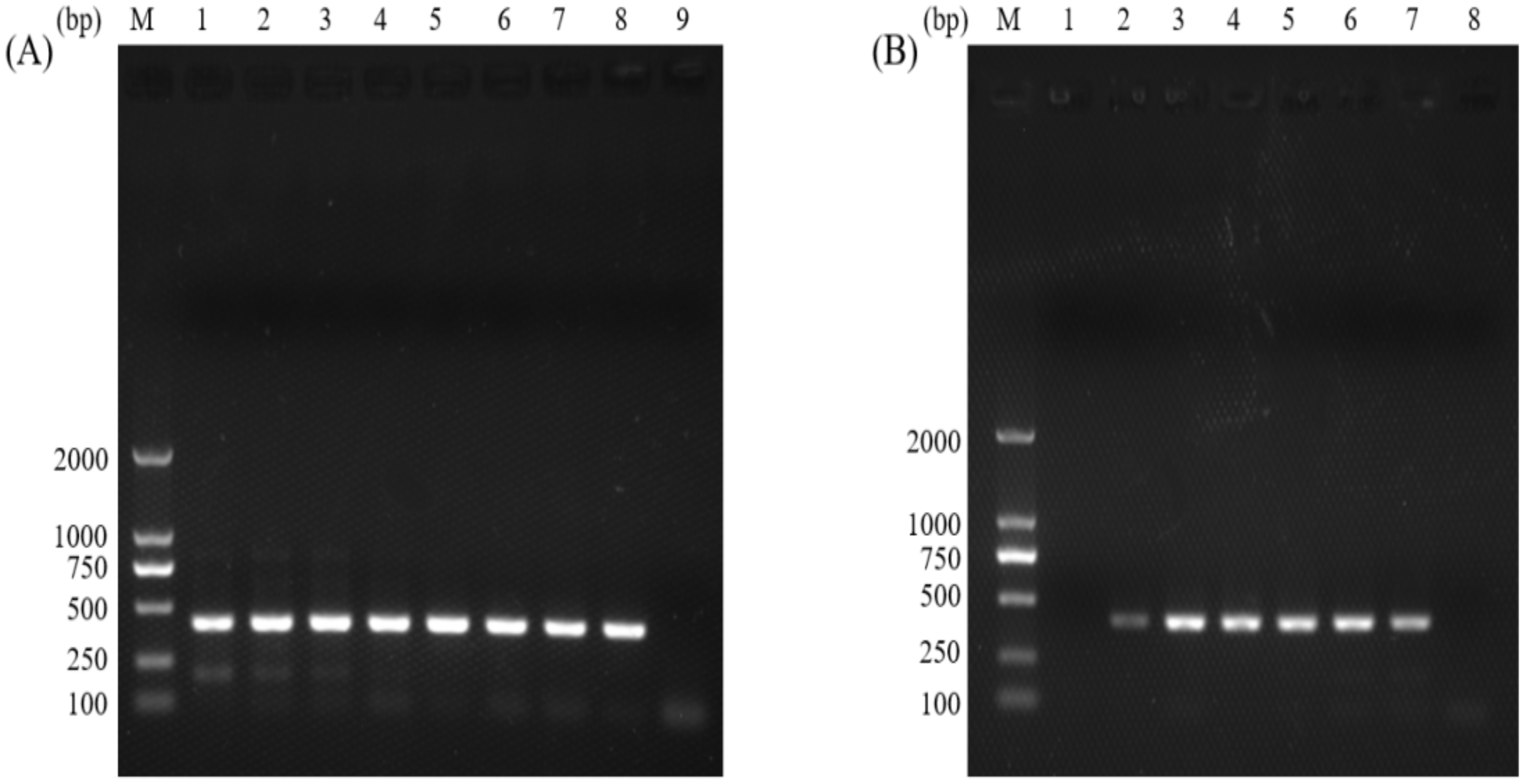 Animals 12 01953 g001