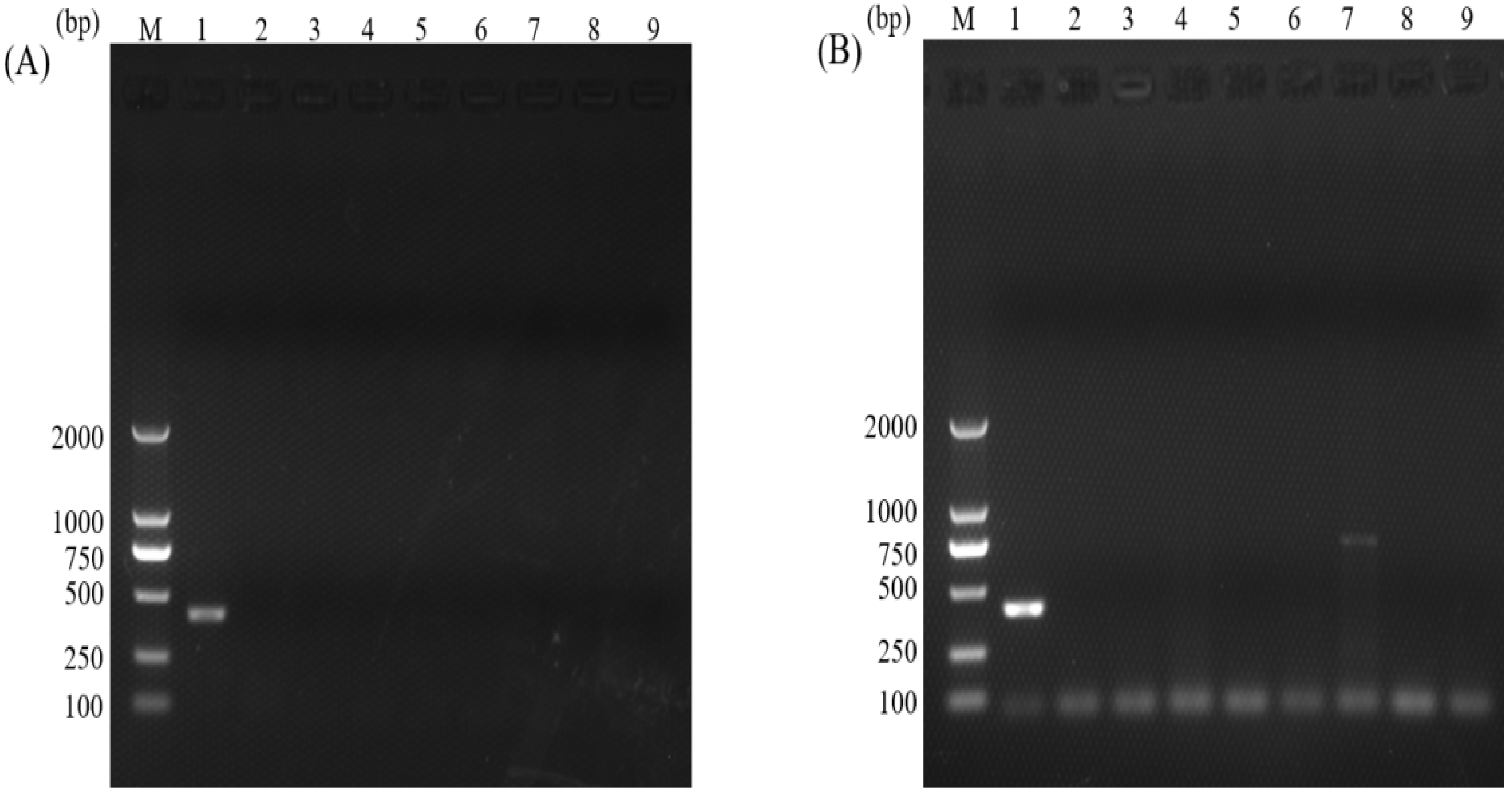 Animals 12 01953 g004