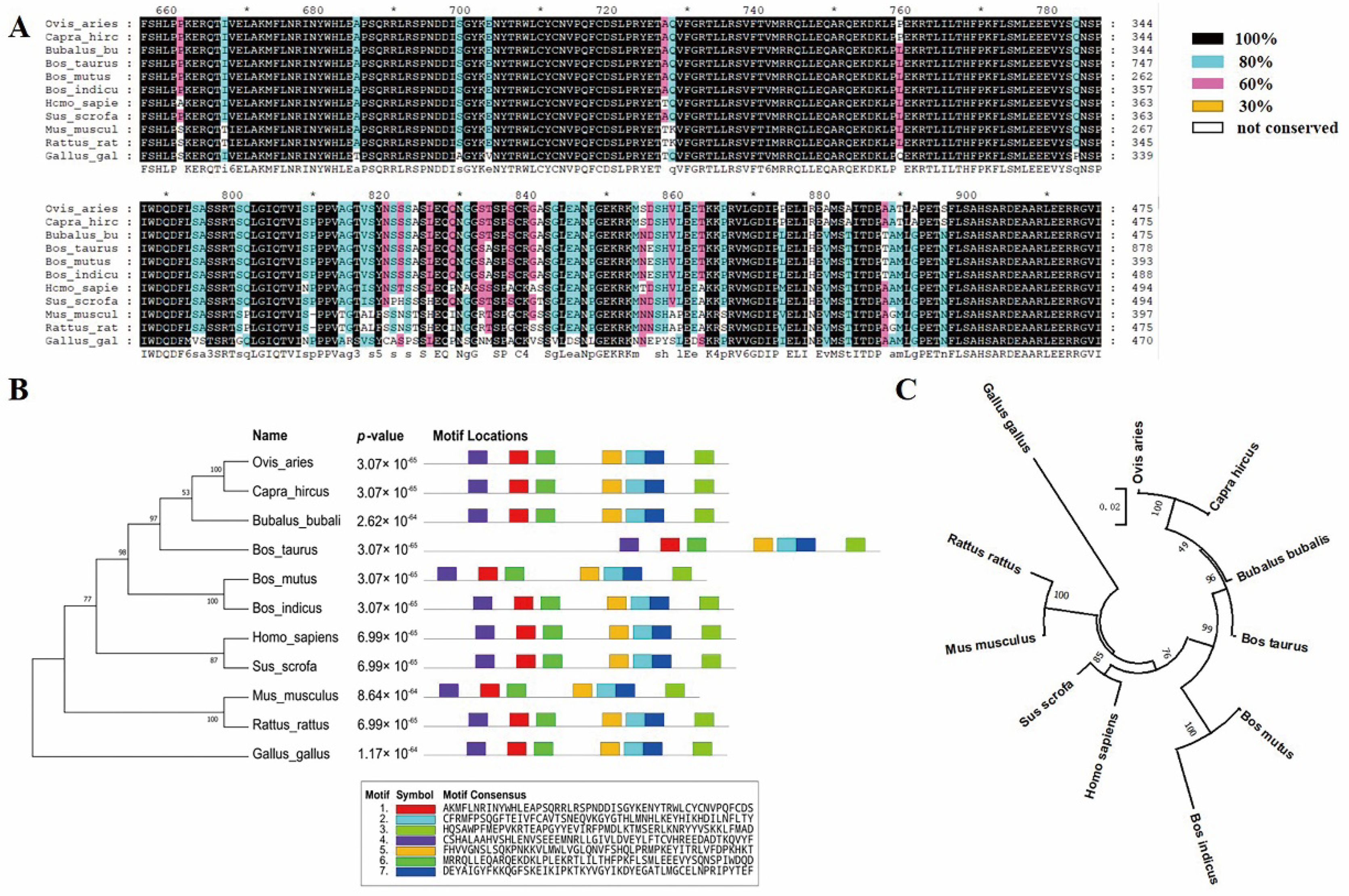 Animals 12 01954 g001
