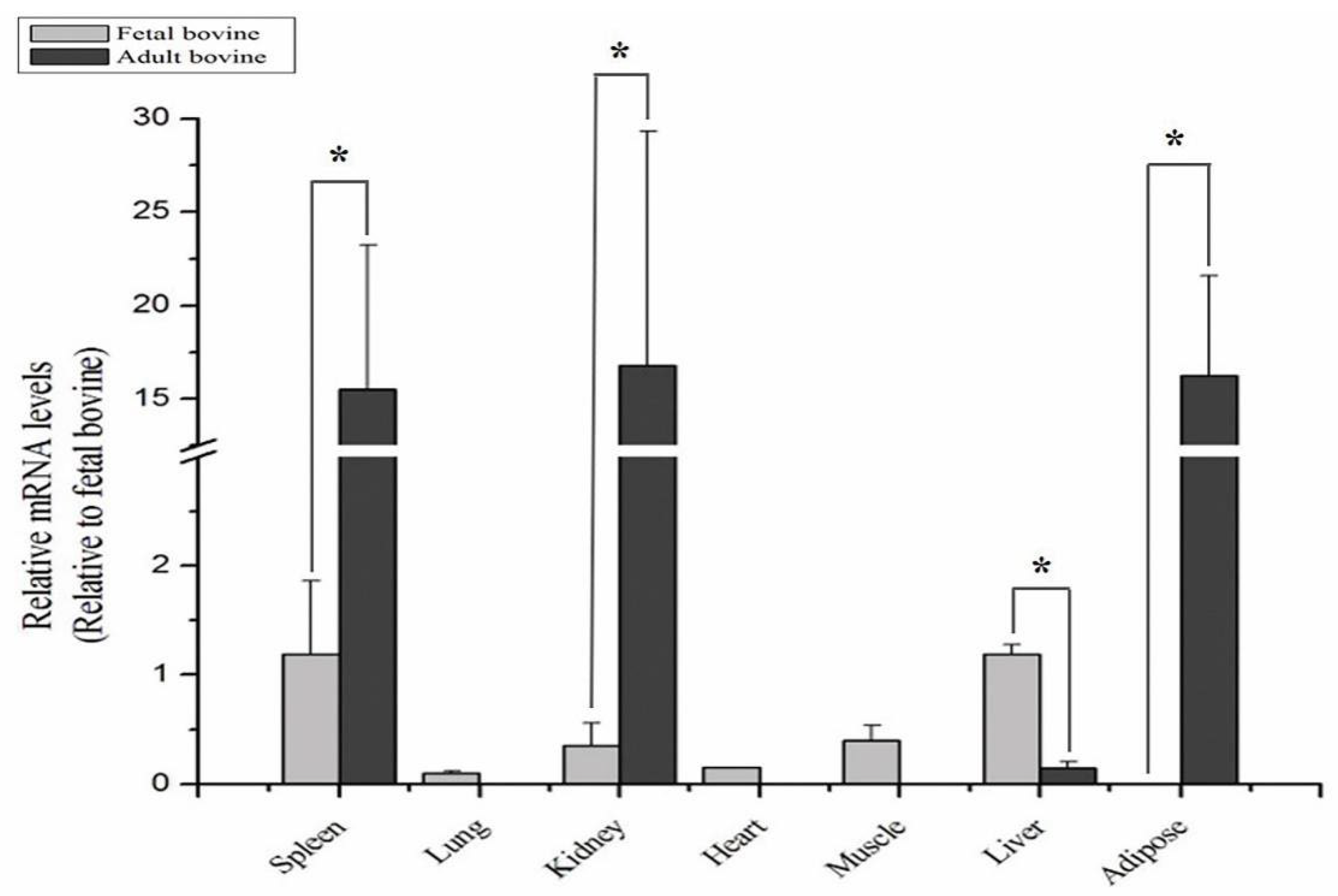 Animals 12 01954 g002