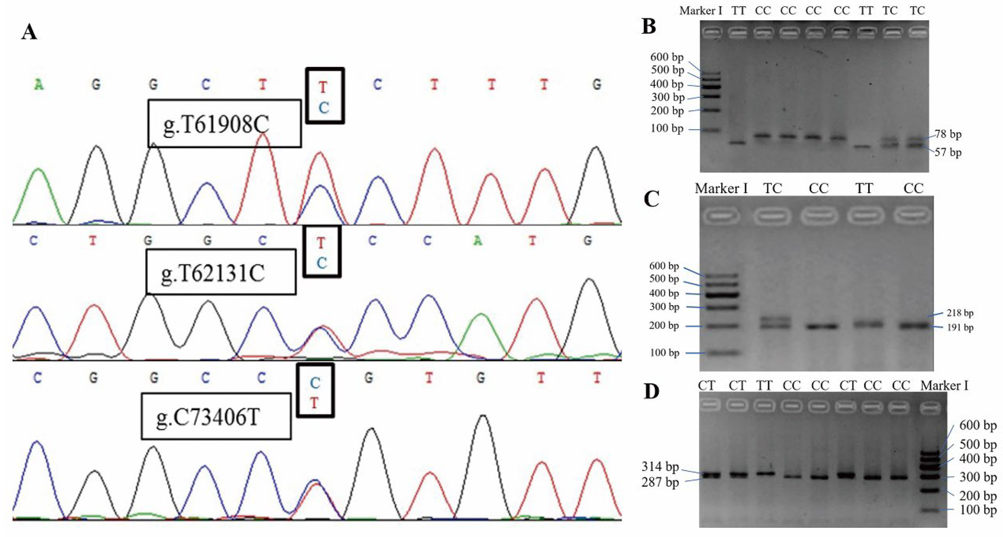 Animals 12 01954 g003