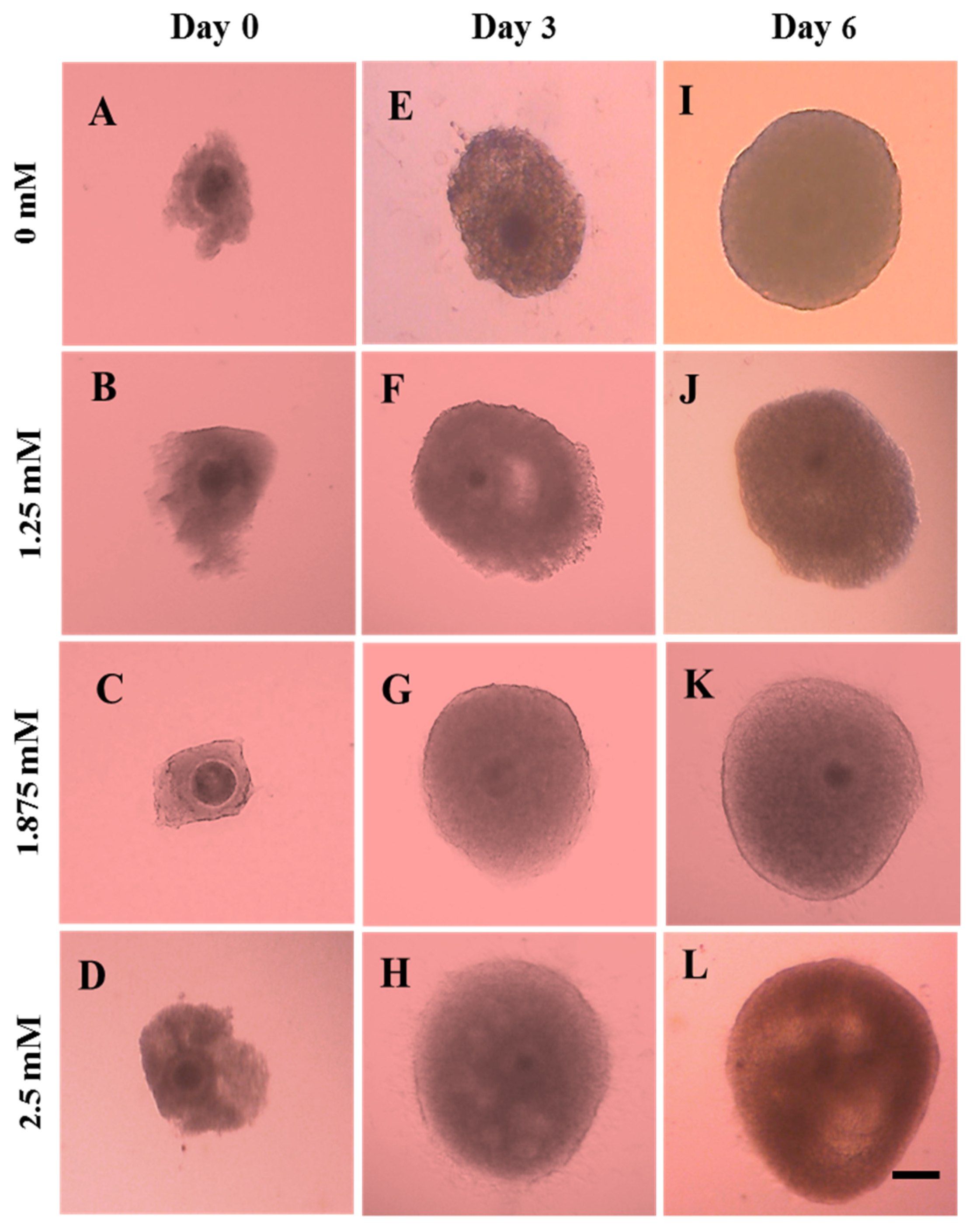 Animals 12 01957 g002