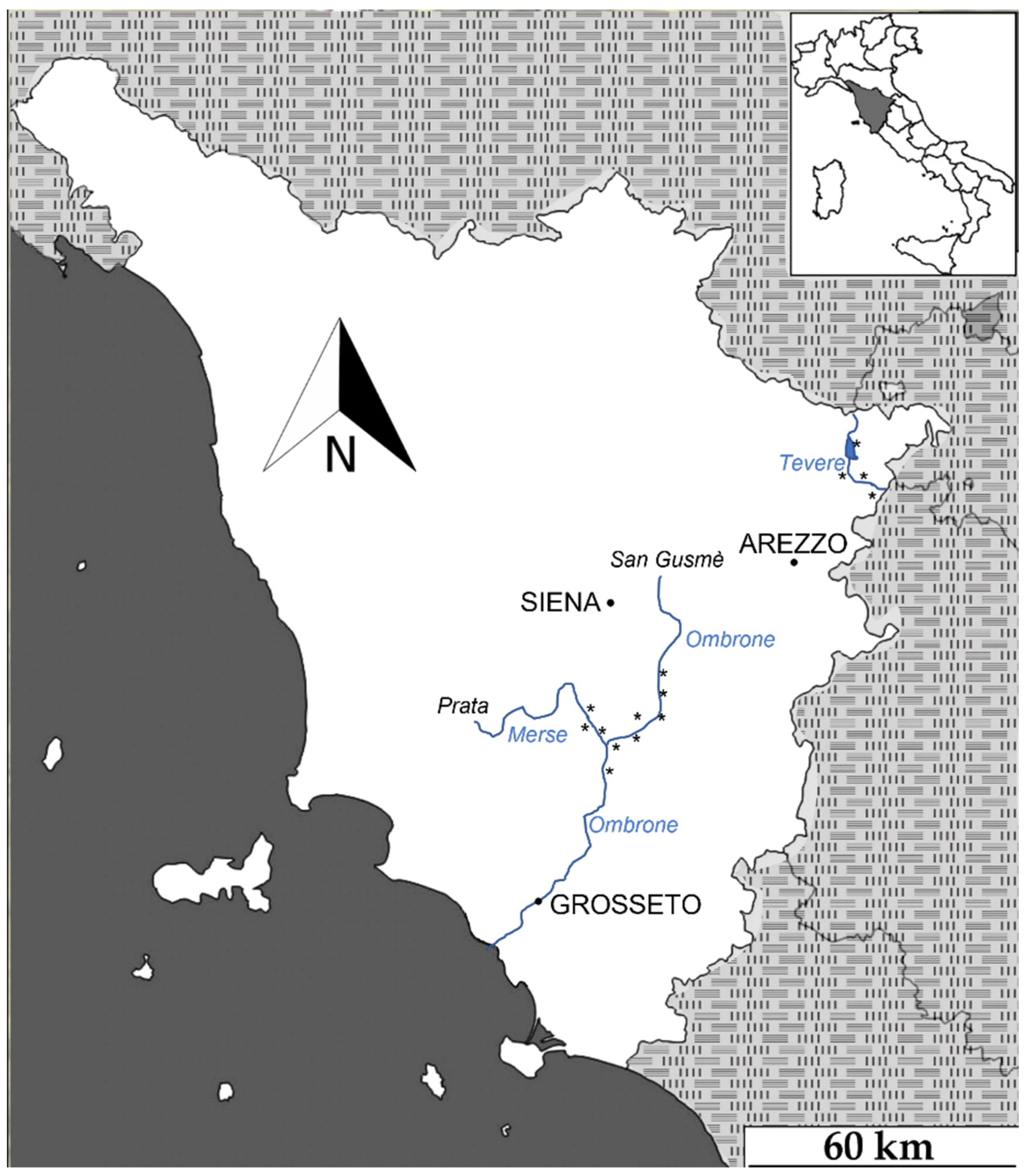 Animals 12 01961 g001 550