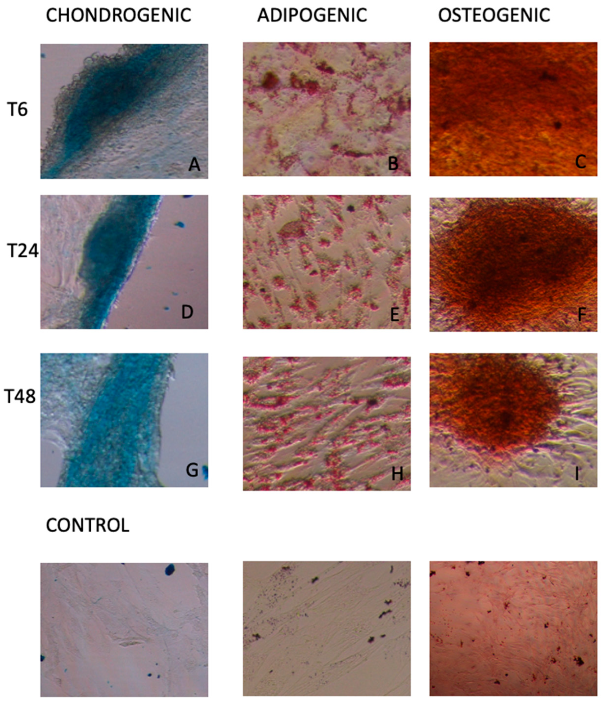 Animals 12 01967 g006 Animals 12 01967 g006
