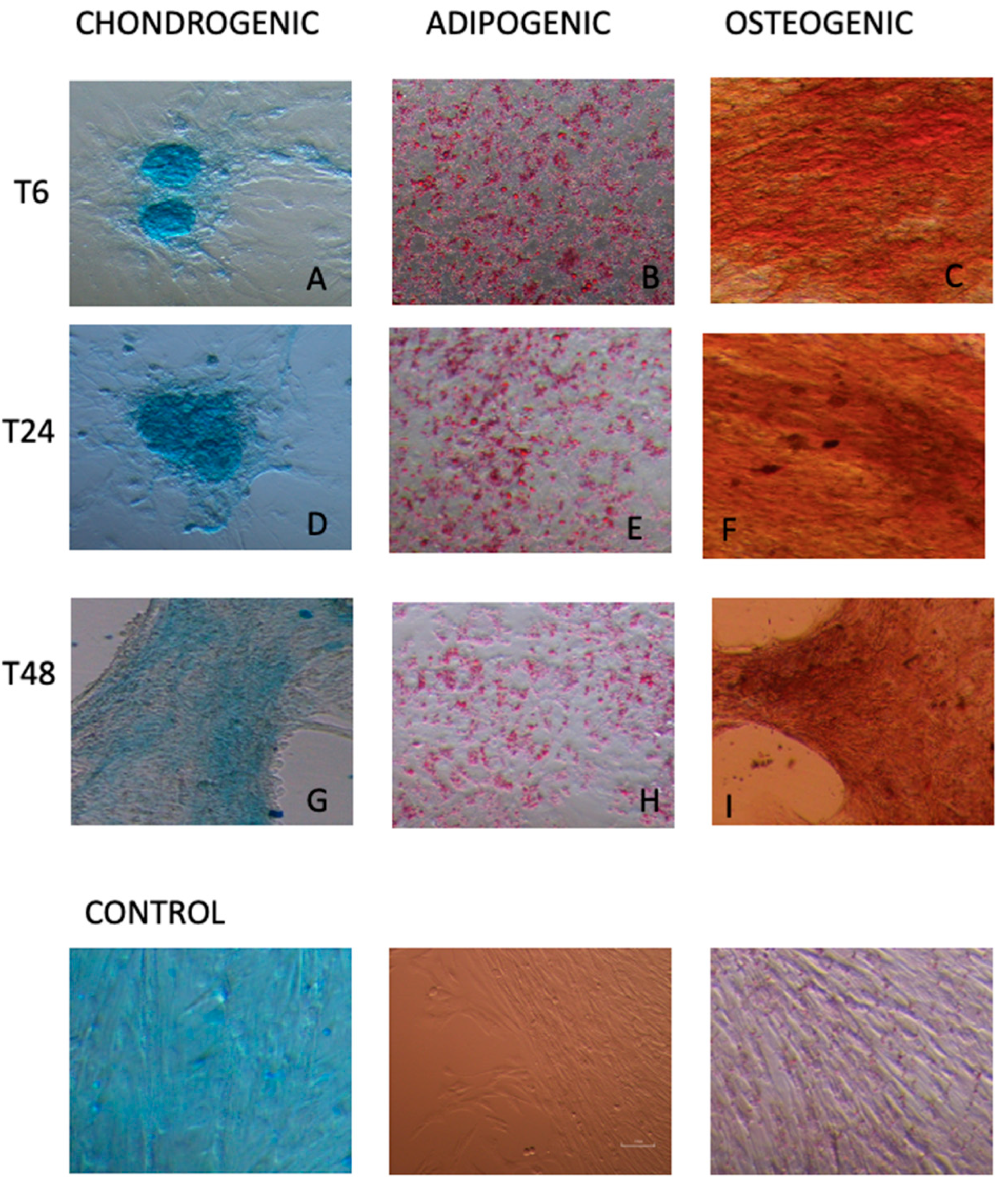 Animals 12 01967 g007 Animals 12 01967 g007