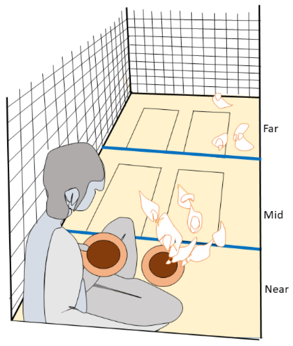 Animals 12 01969 g002 550