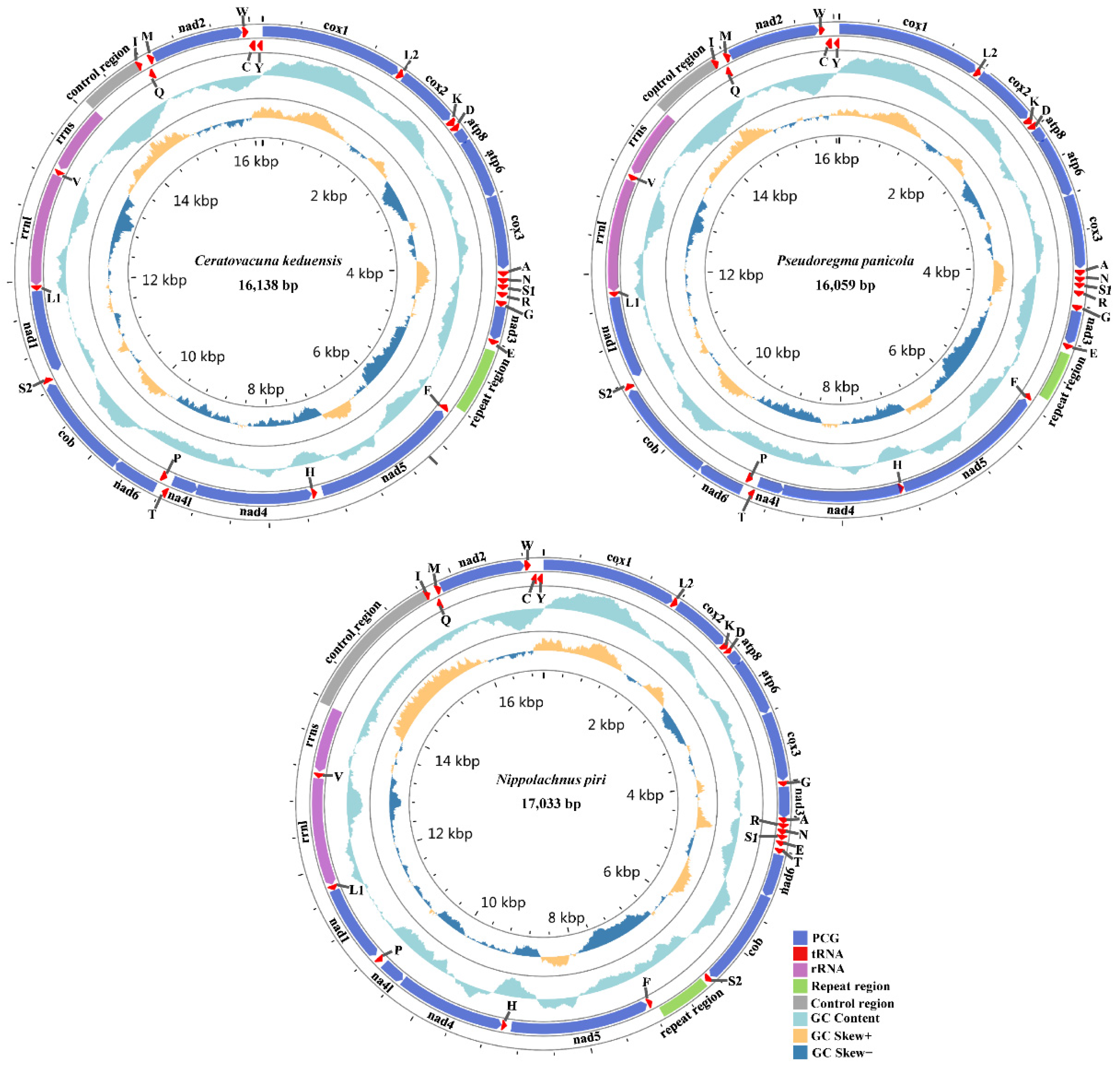 Animals 12 01970 g001 Animals 12 01970 g001