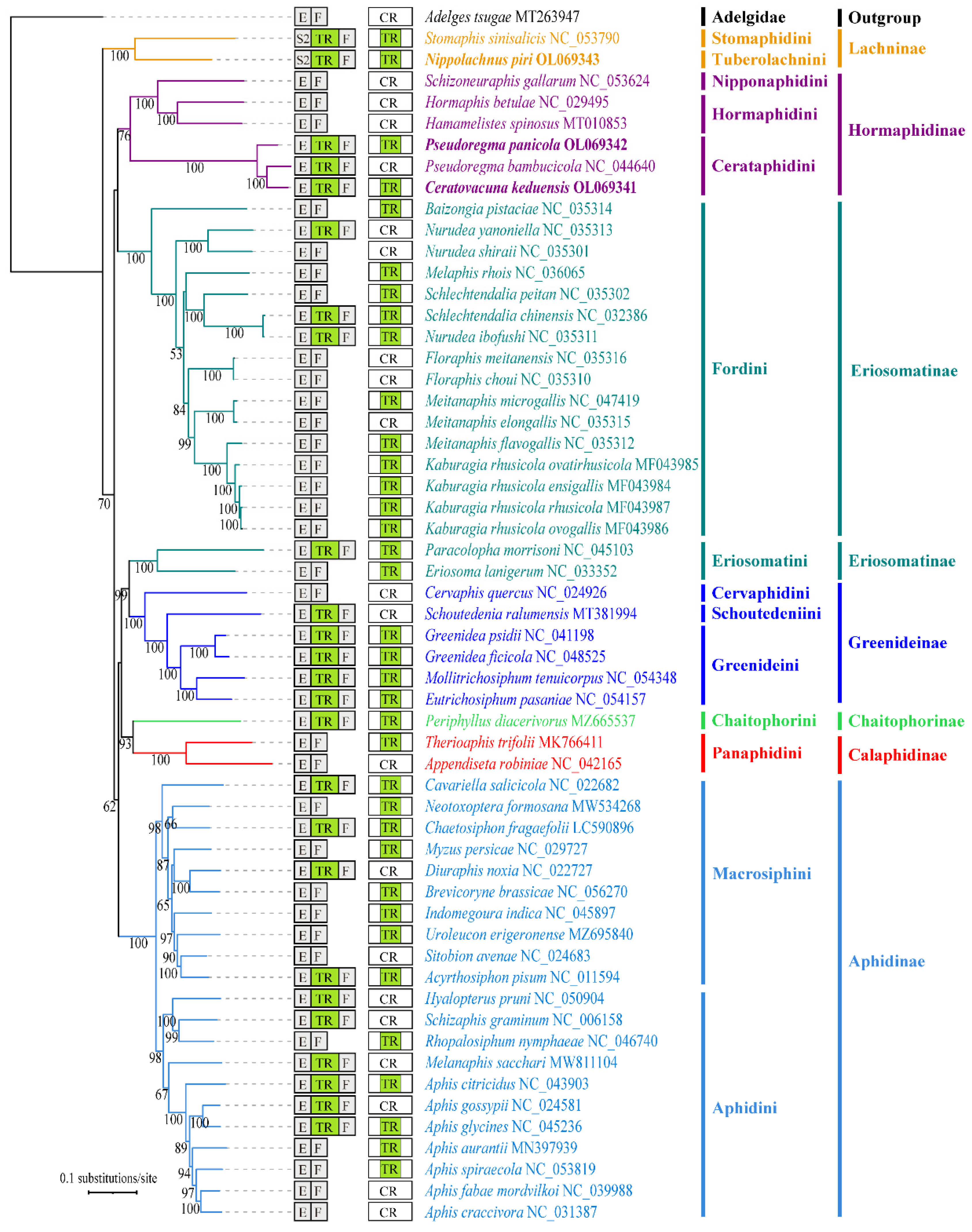 Animals 12 01970 g004 Animals 12 01970 g004