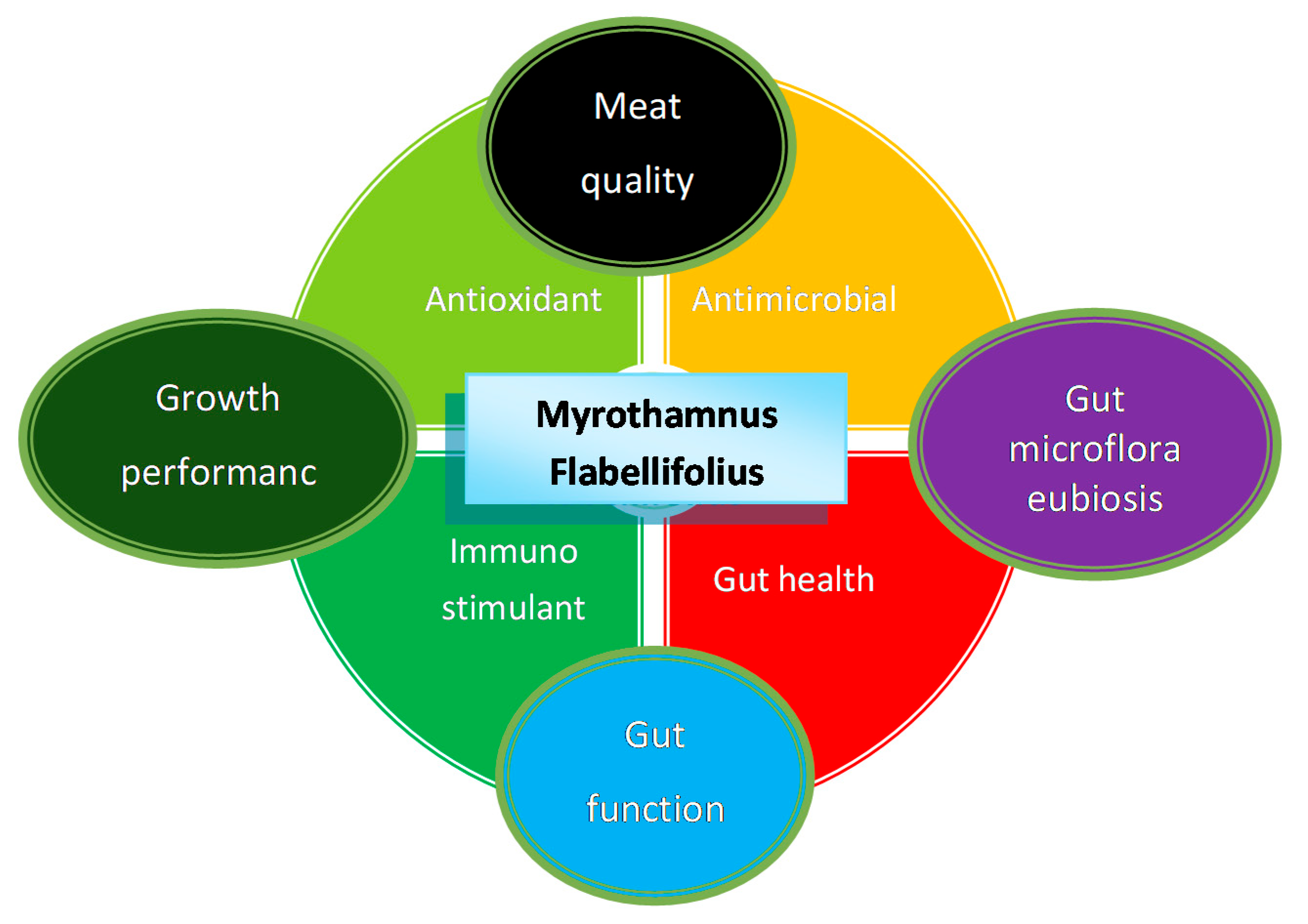 Animals | Free Full-Text | Exploring the Potential of Myrothamnus flabellifolius Welw. (Resurrection Tree) as a Phytogenic Feed Additive in Animal Nutrition Animals | Free Full-Text | Exploring the Potential of Myrothamnus flabellifolius Welw. (Resurrection Tree) as a Phytogenic Feed Additive in Animal Nutrition