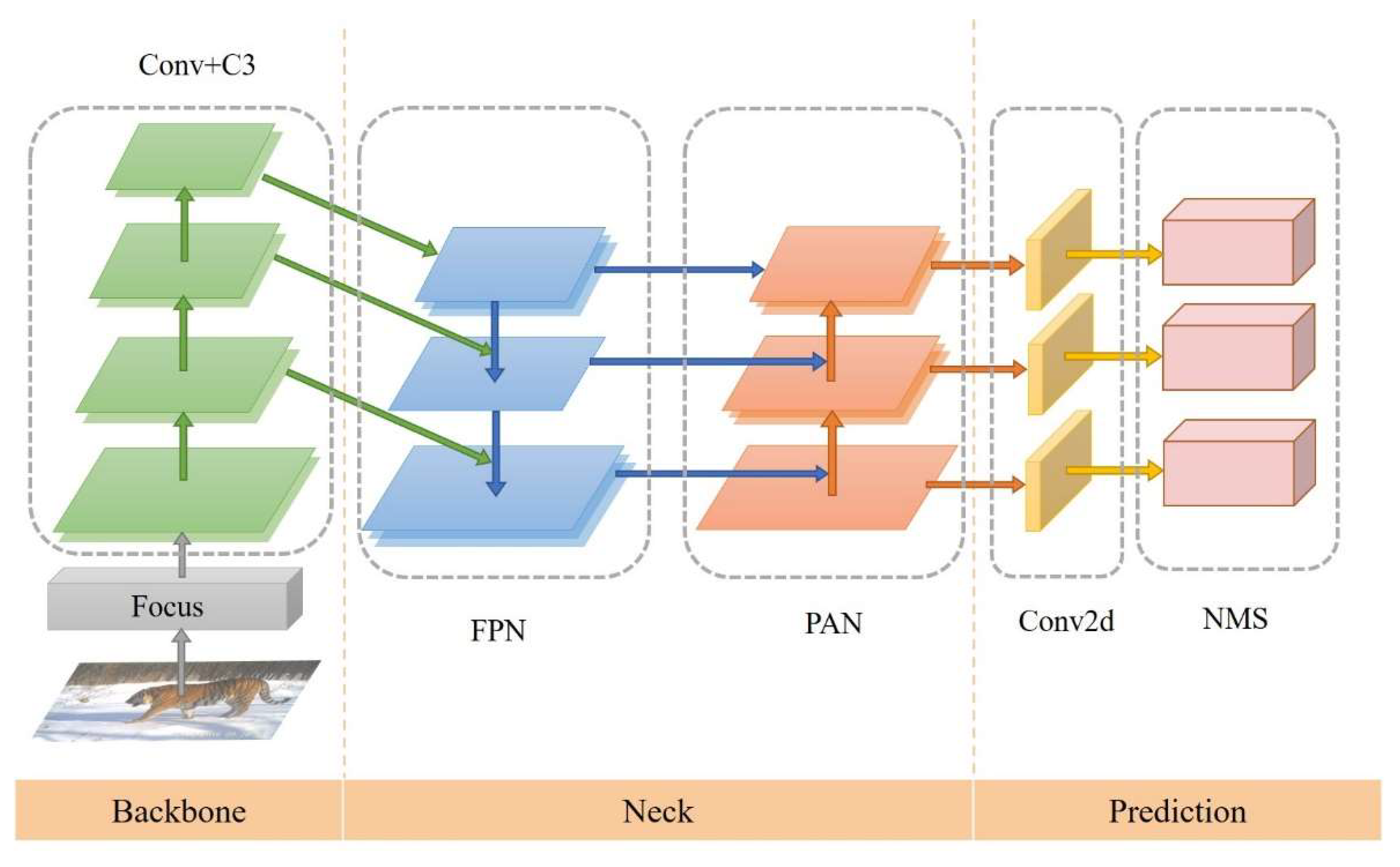 Animals 12 01976 g002 550