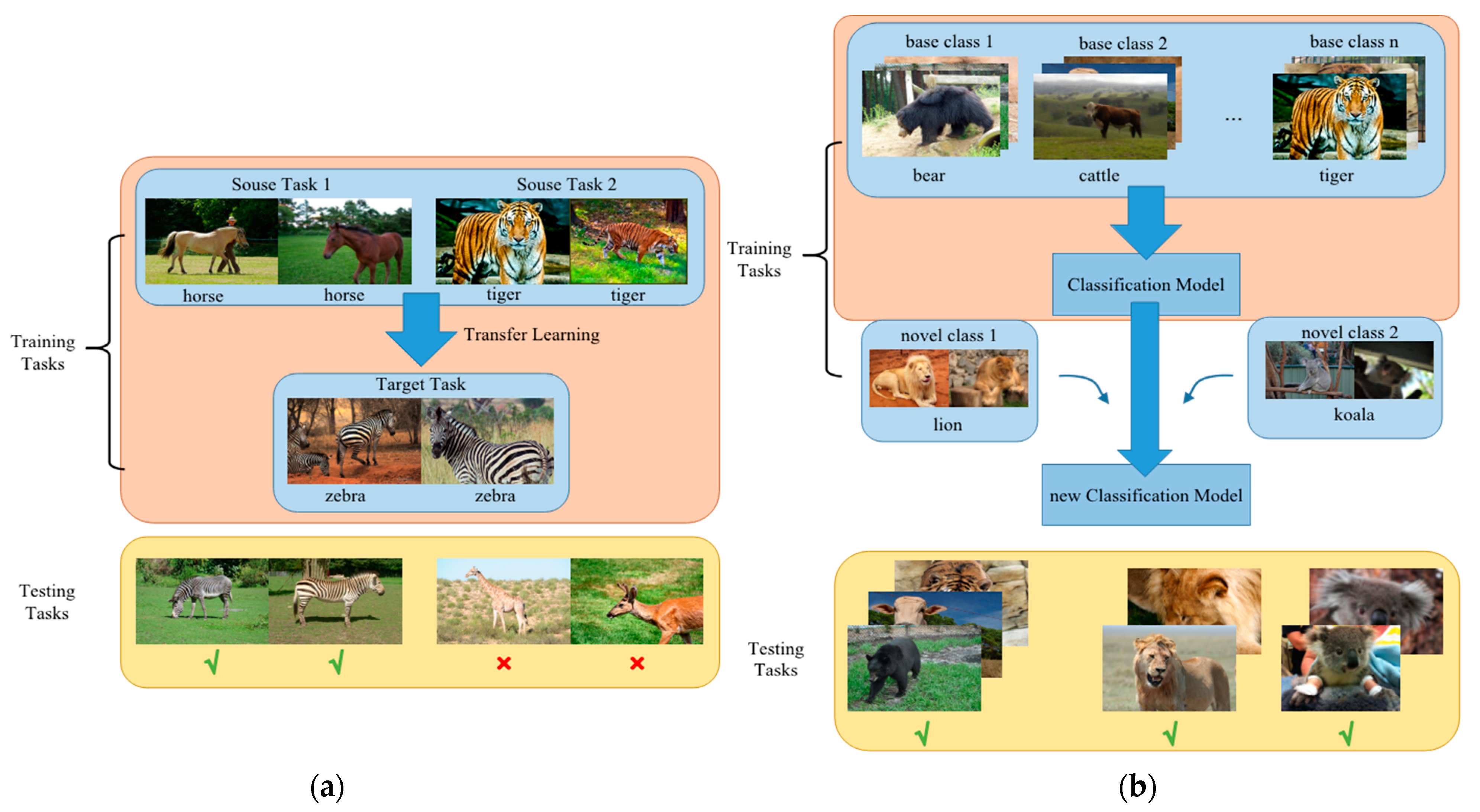 Animals 12 01980 g001 550