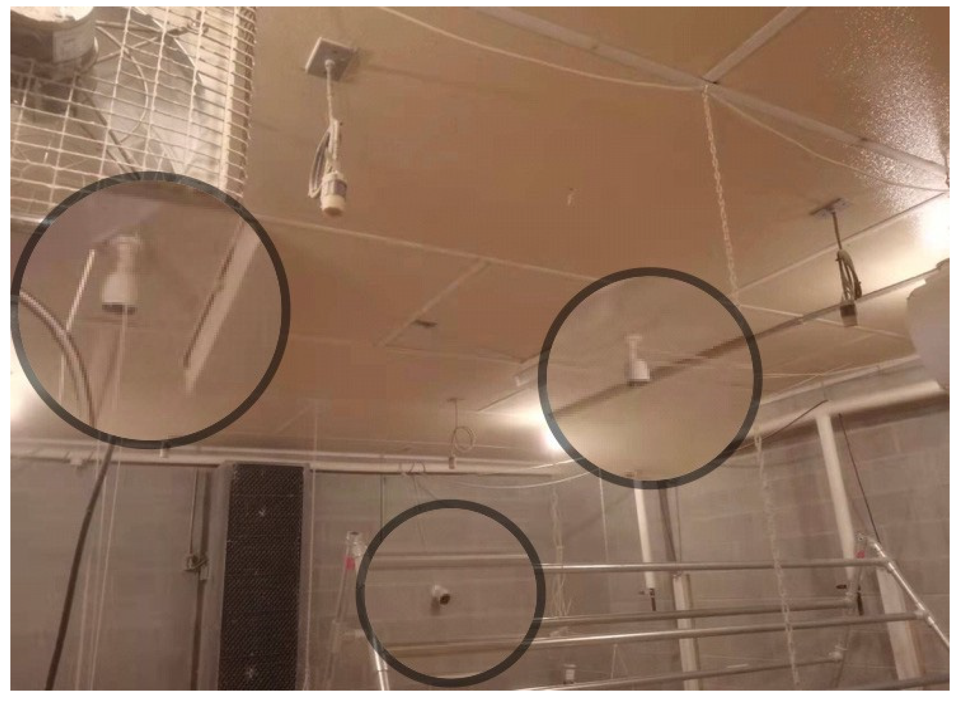 Animals 12 01983 g002