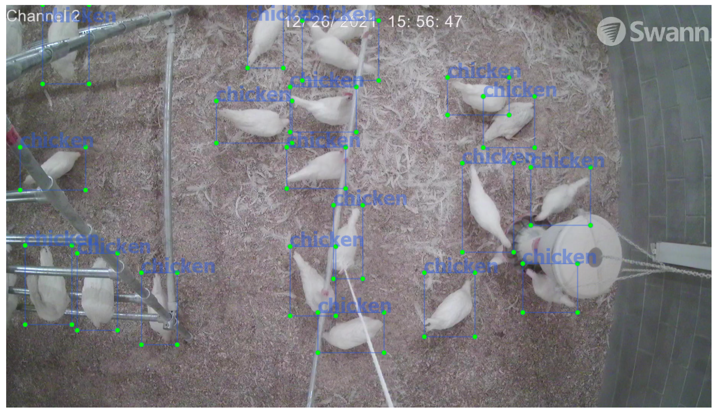 Animals 12 01983 g003