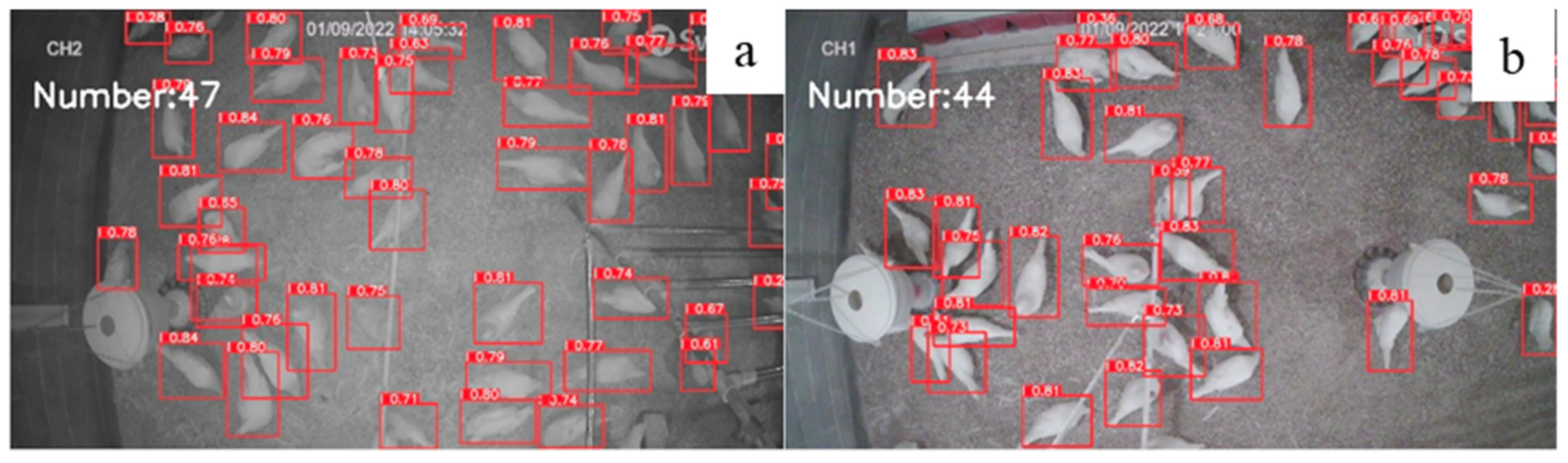 Animals 12 01983 g006