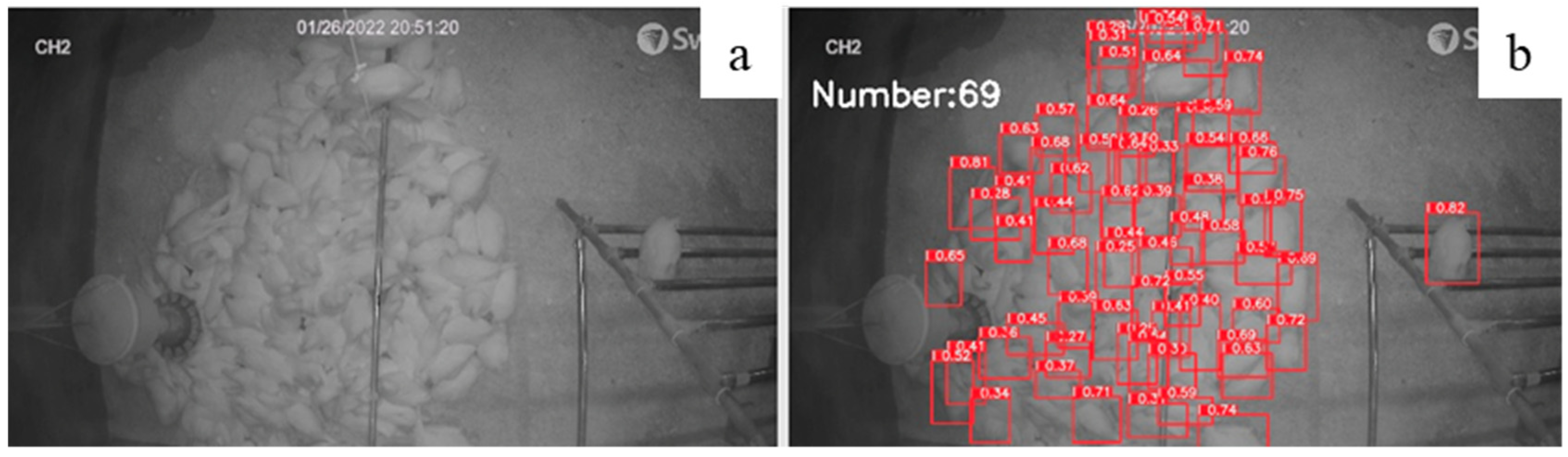 Animals 12 01983 g008