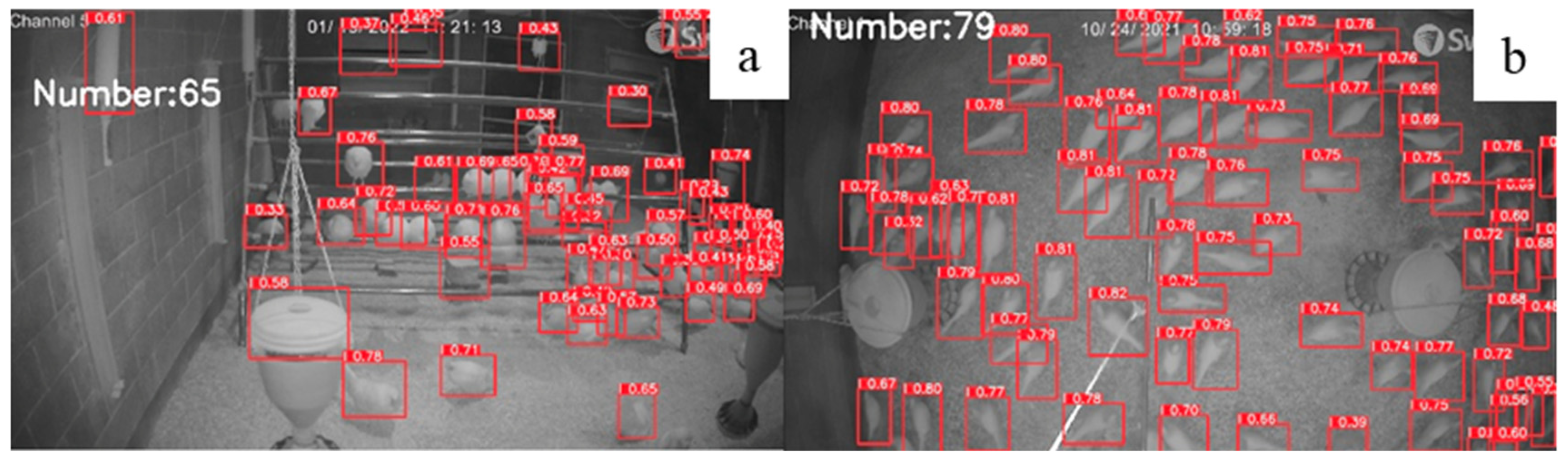 Animals 12 01983 g009