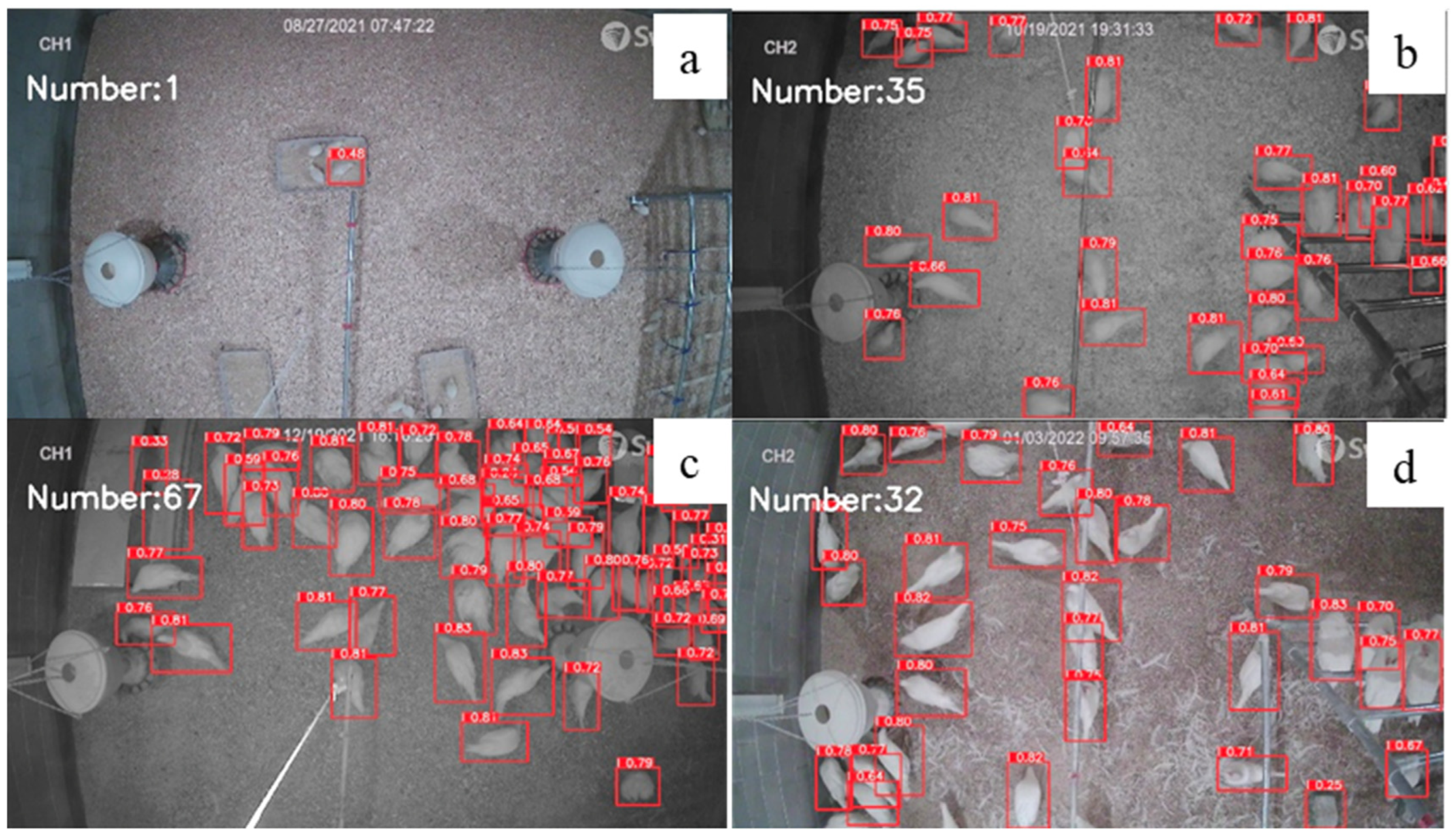 Animals 12 01983 g010