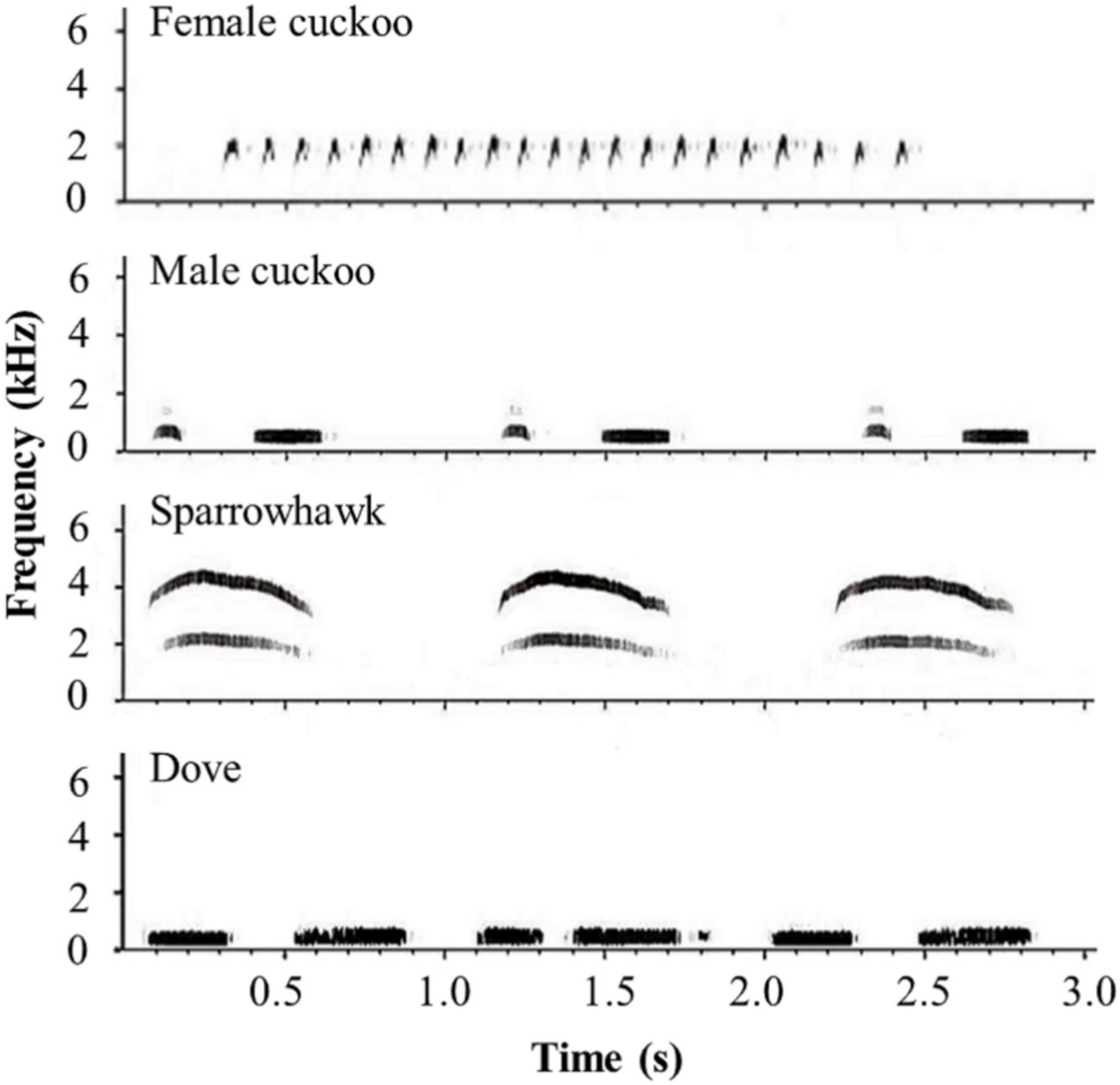 Animals 12 01990 g001 550