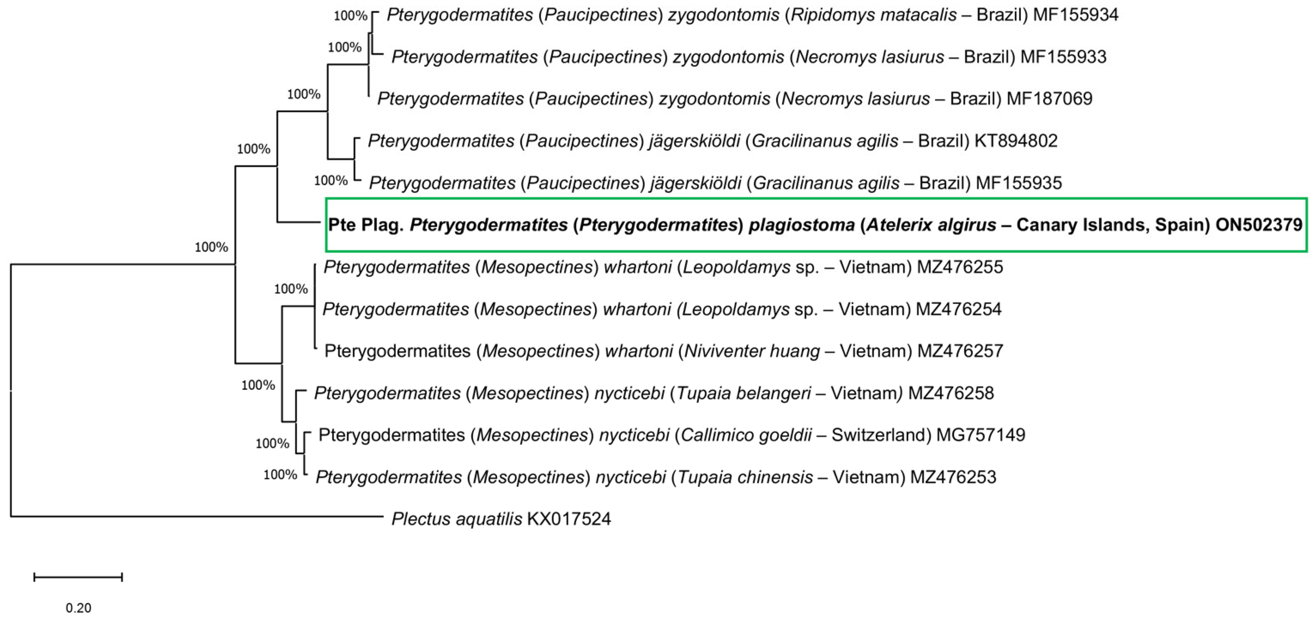 Animals 12 01991 g001 Animals 12 01991 g001