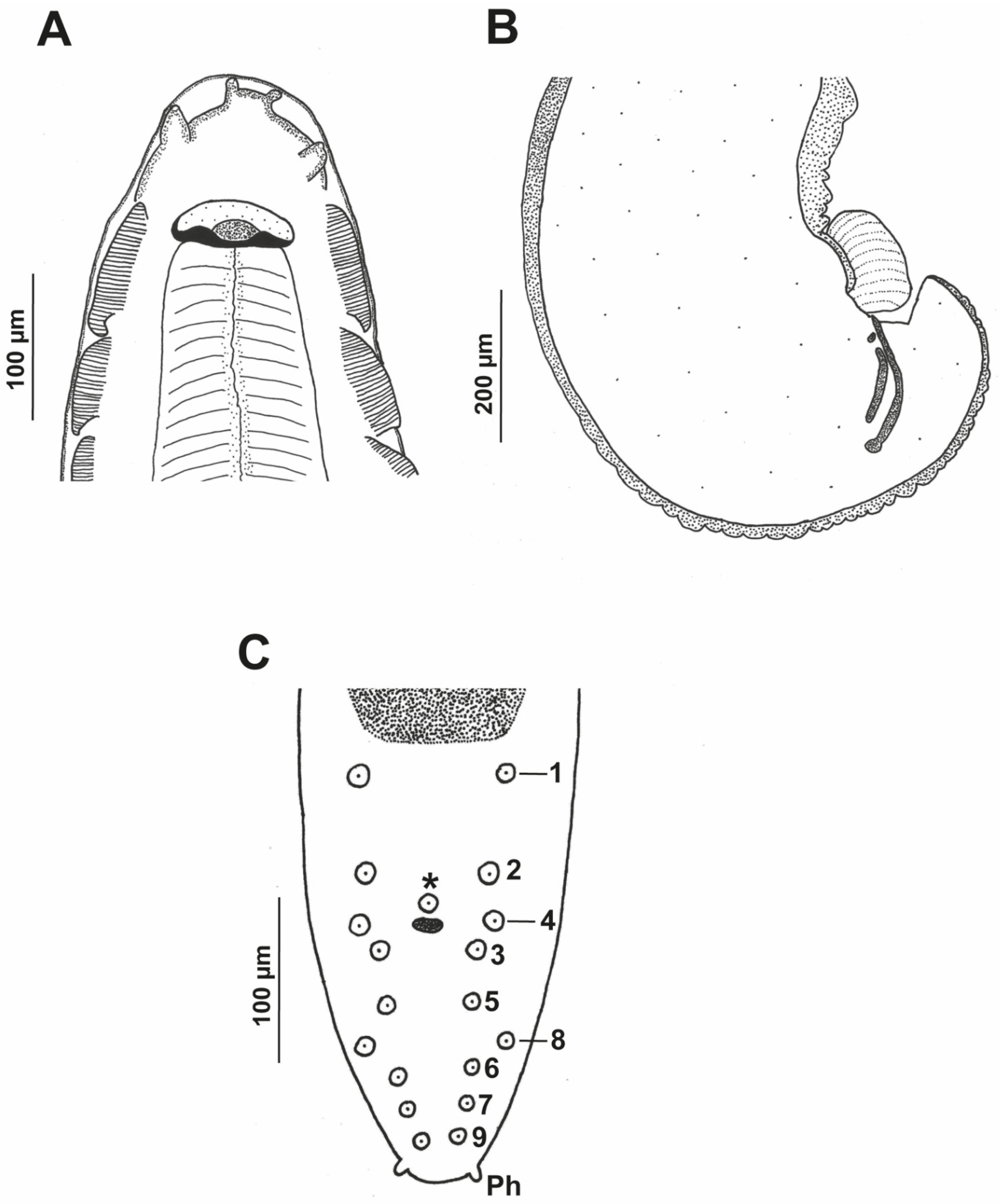 Animals 12 01991 g002 Animals 12 01991 g002