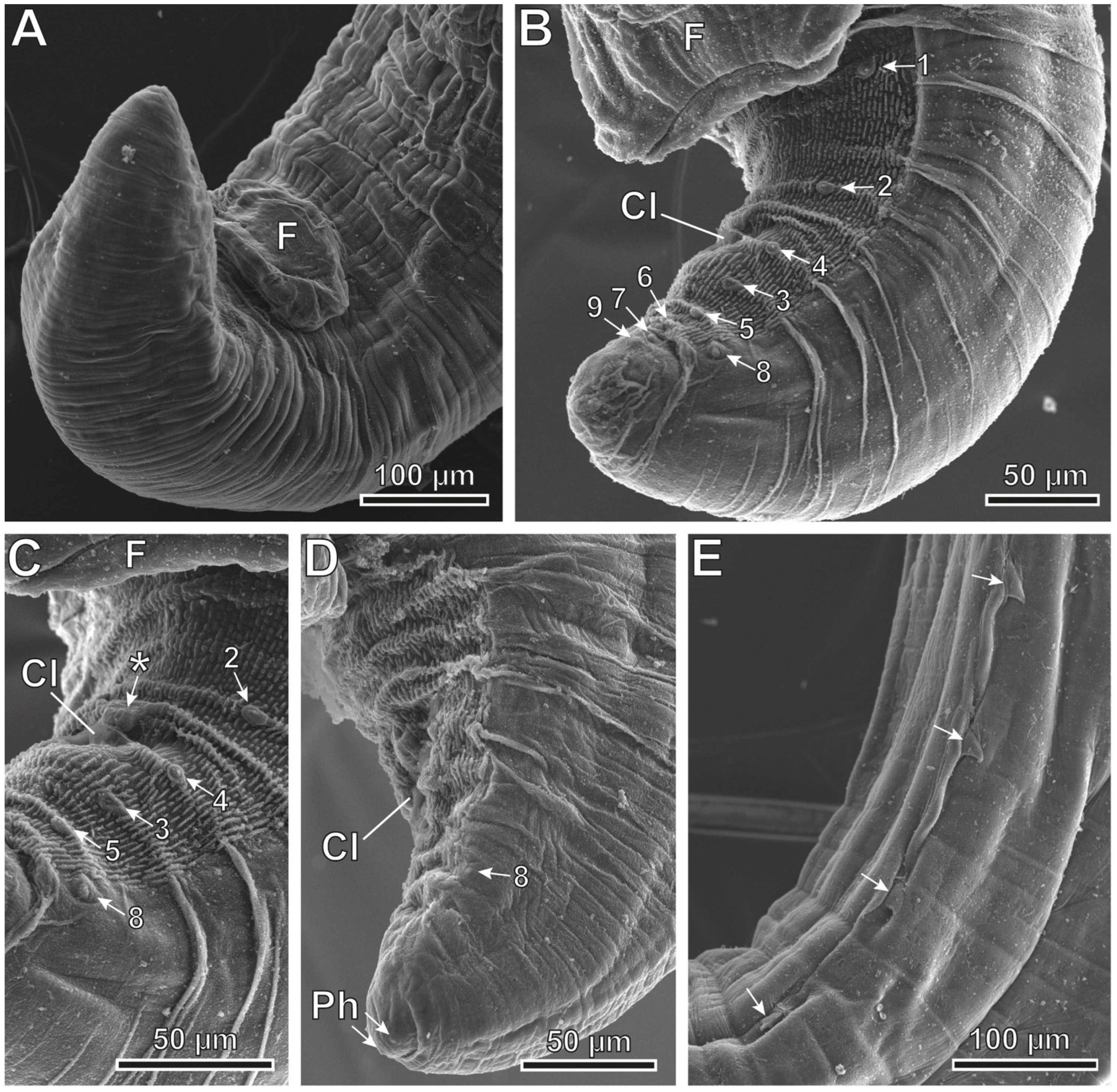 Animals 12 01991 g004 Animals 12 01991 g004