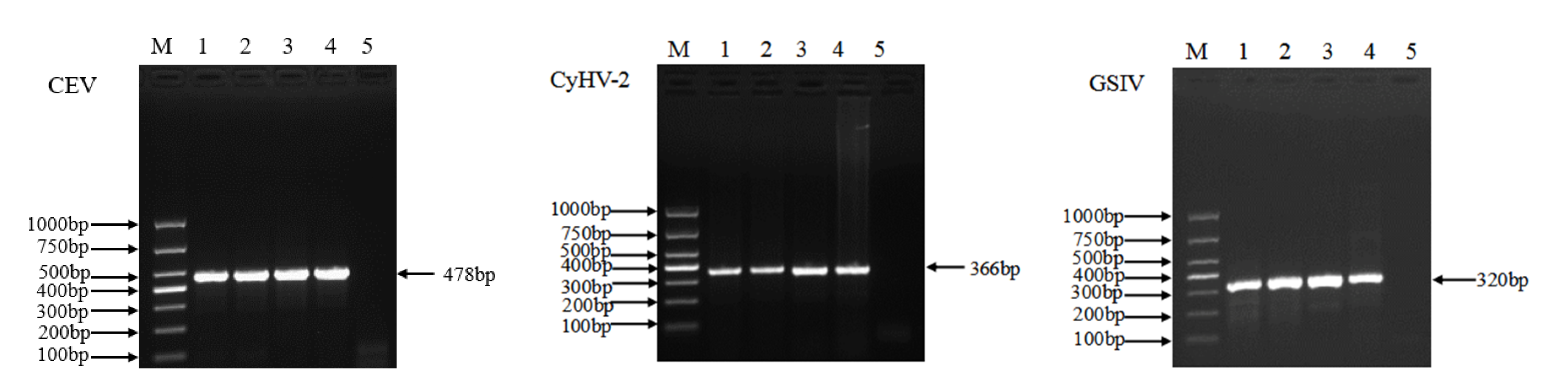 Animals 12 01999 g001